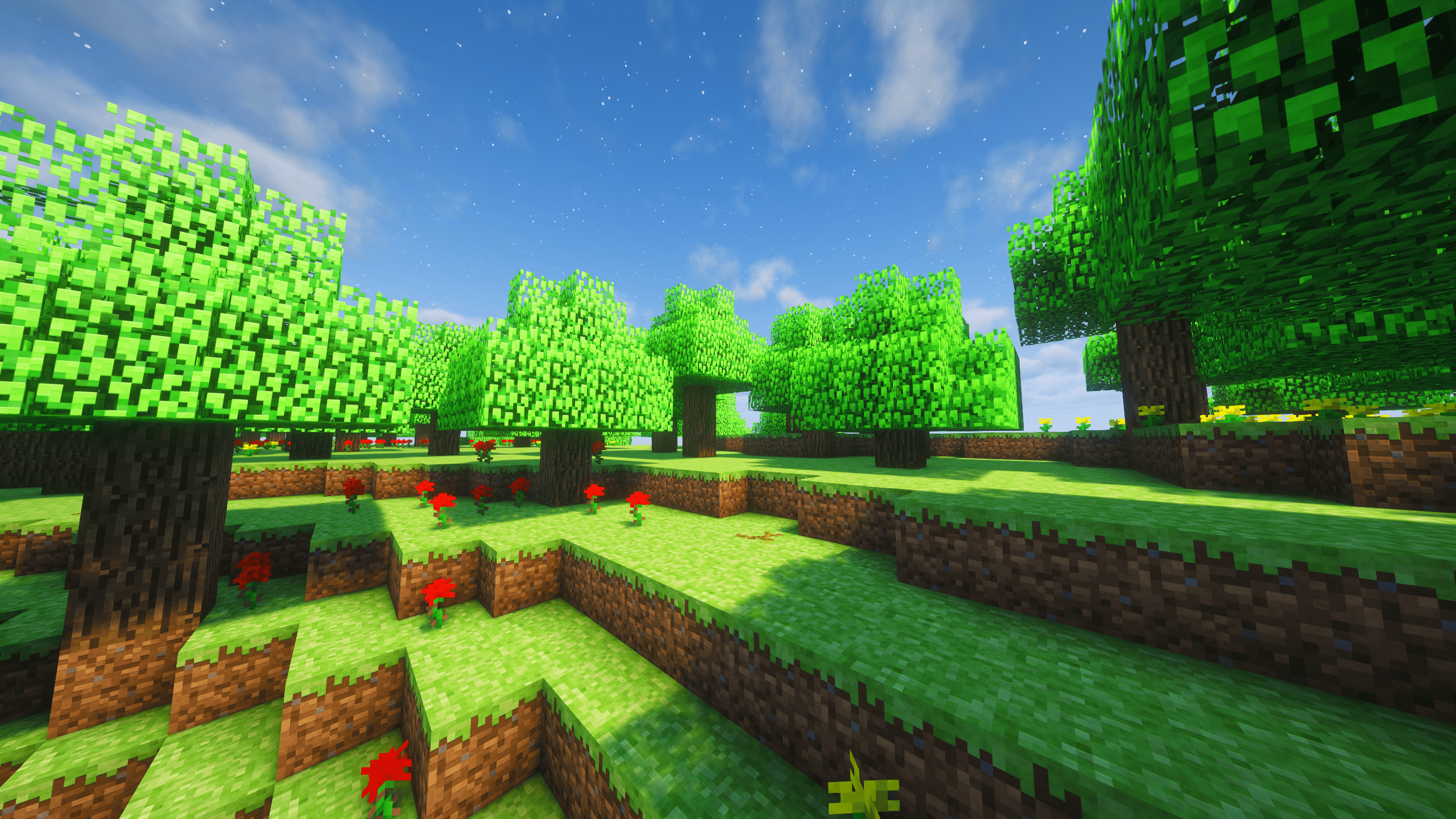 Alpha Grove