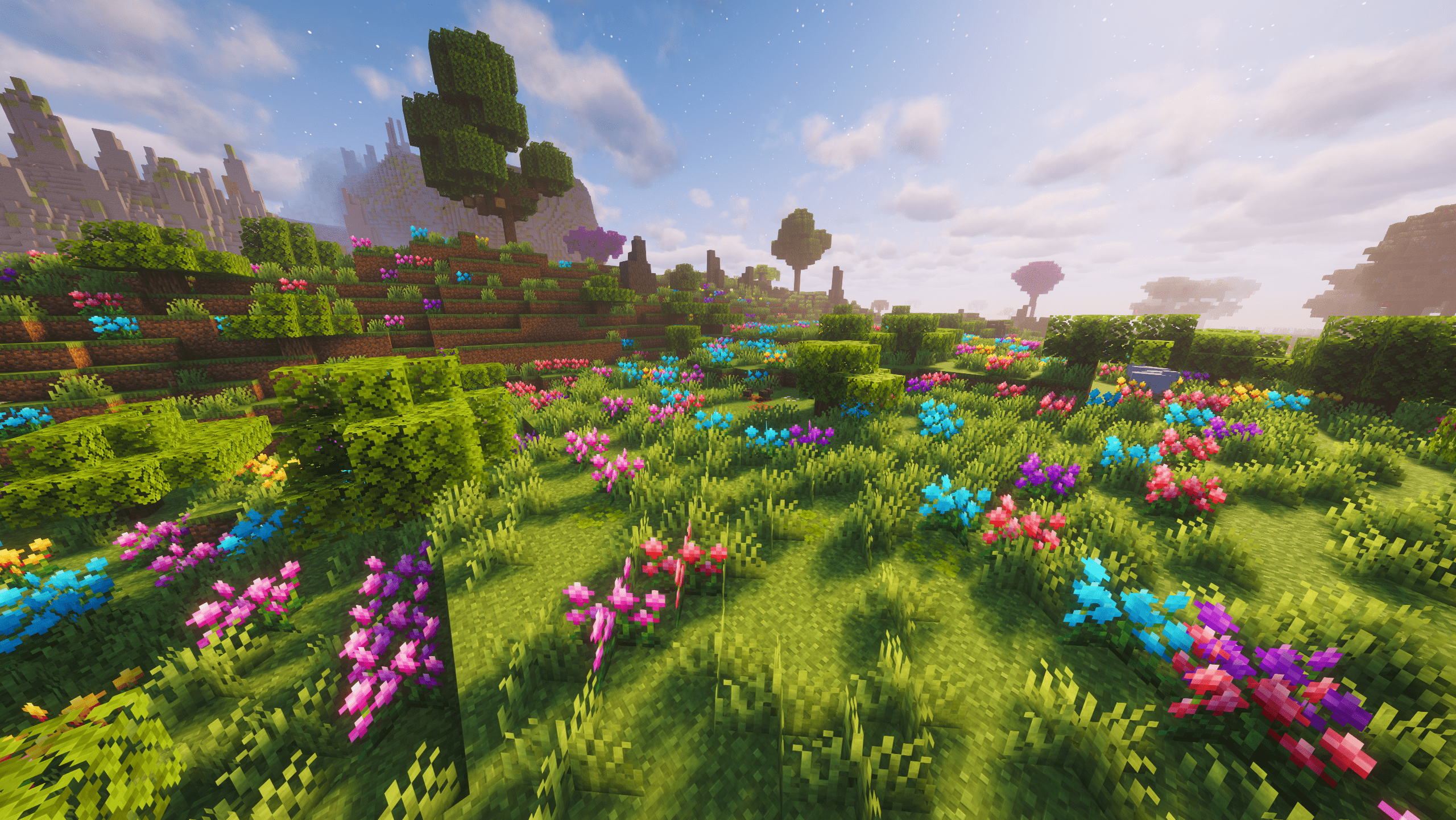 Amaranth Grassland