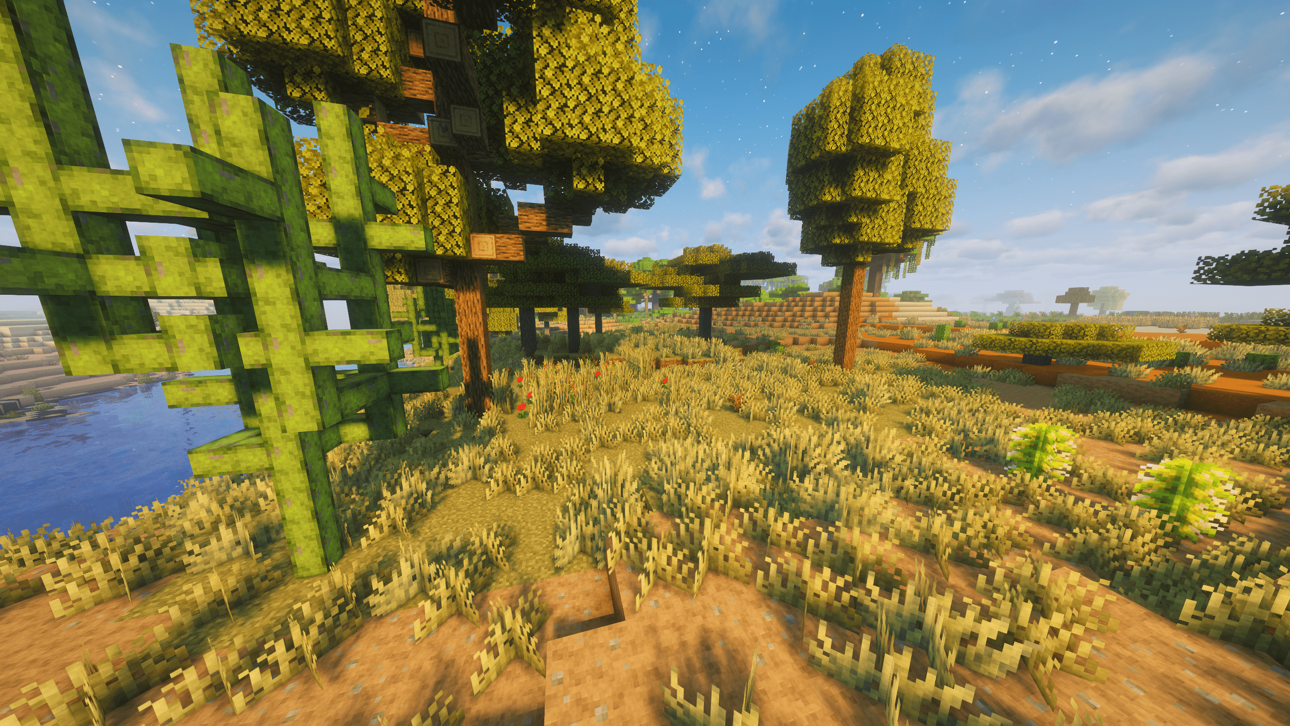 Arid Savanna