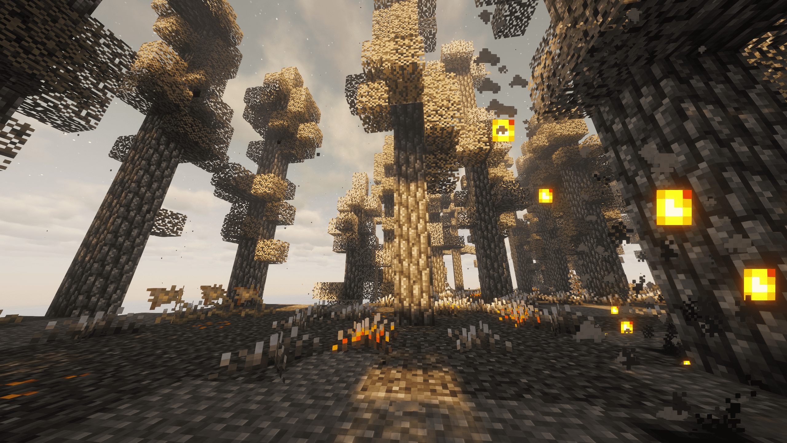 Ashen Woodland