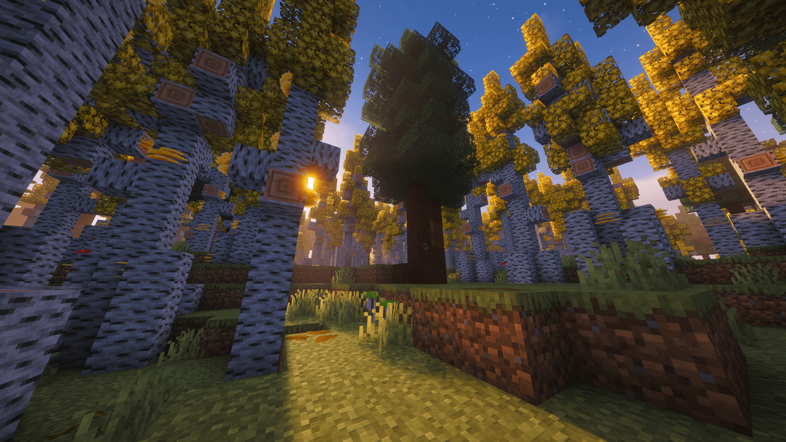 Aspen Boreal