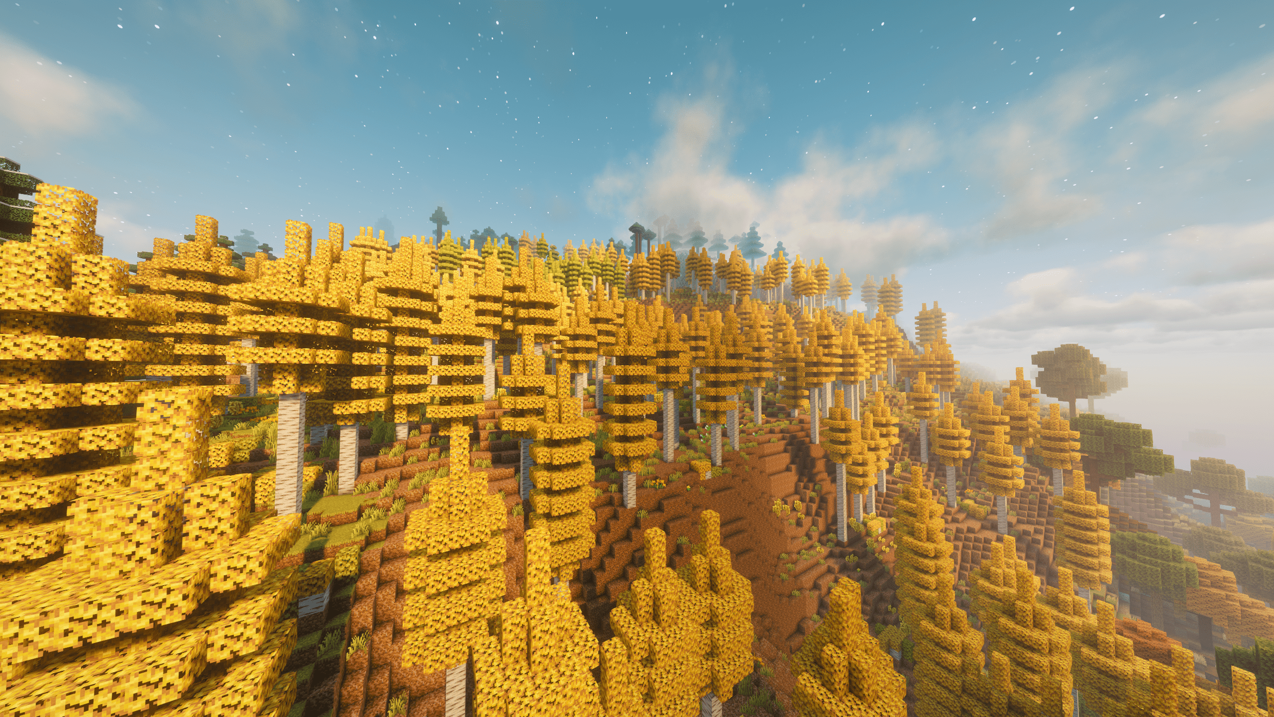 Aspen Forest