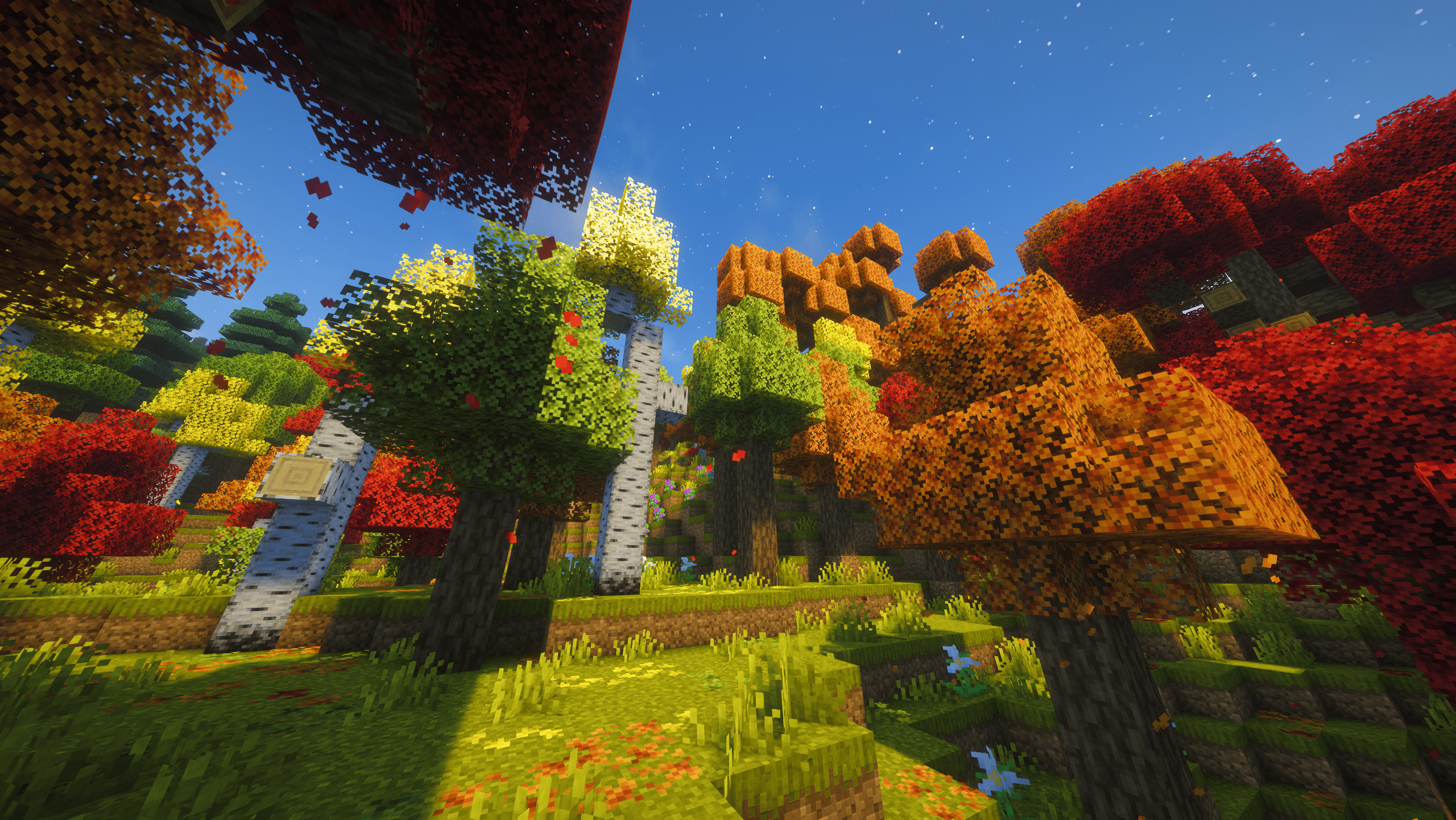 Autumnal Maple Forest