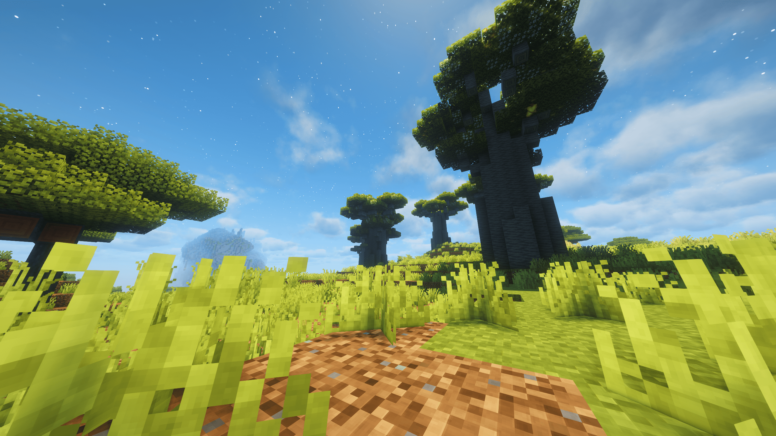 Baobab Savanna