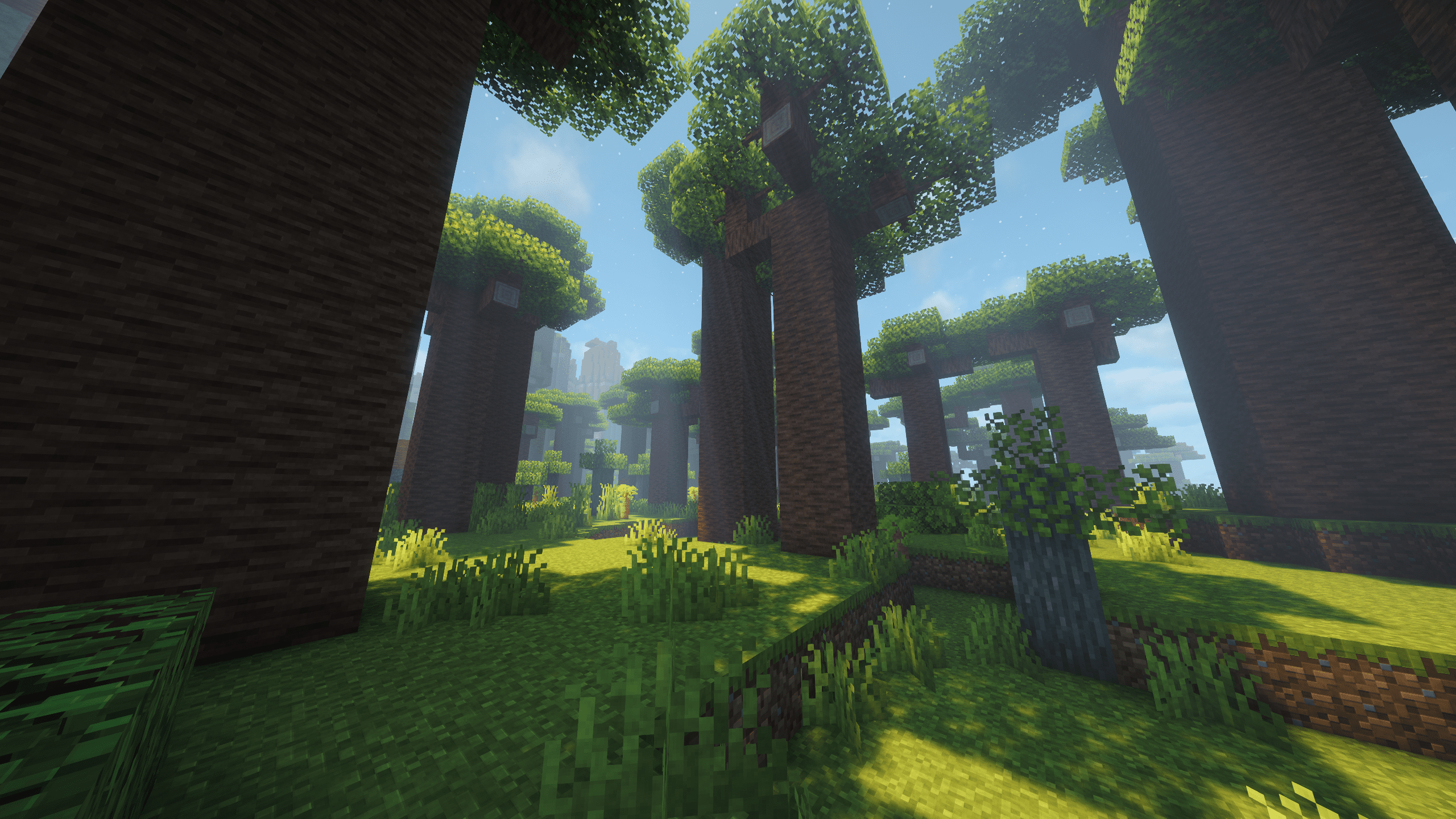 Baobab Savanna