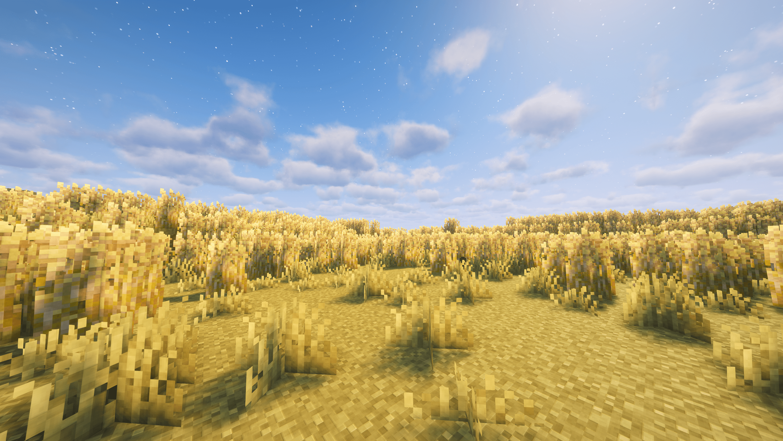 Barley Fields