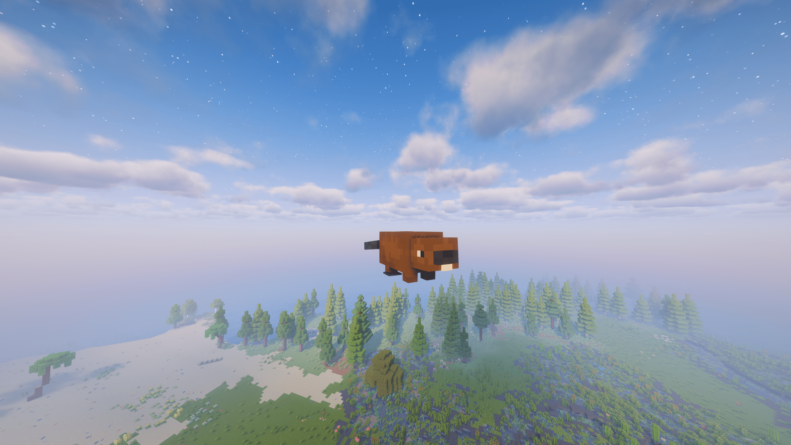 Beaver