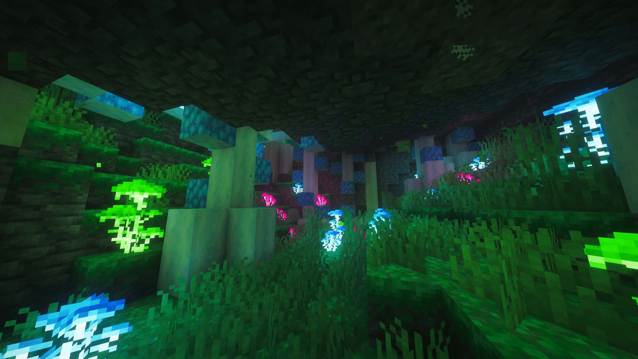 Bioshroom Caves