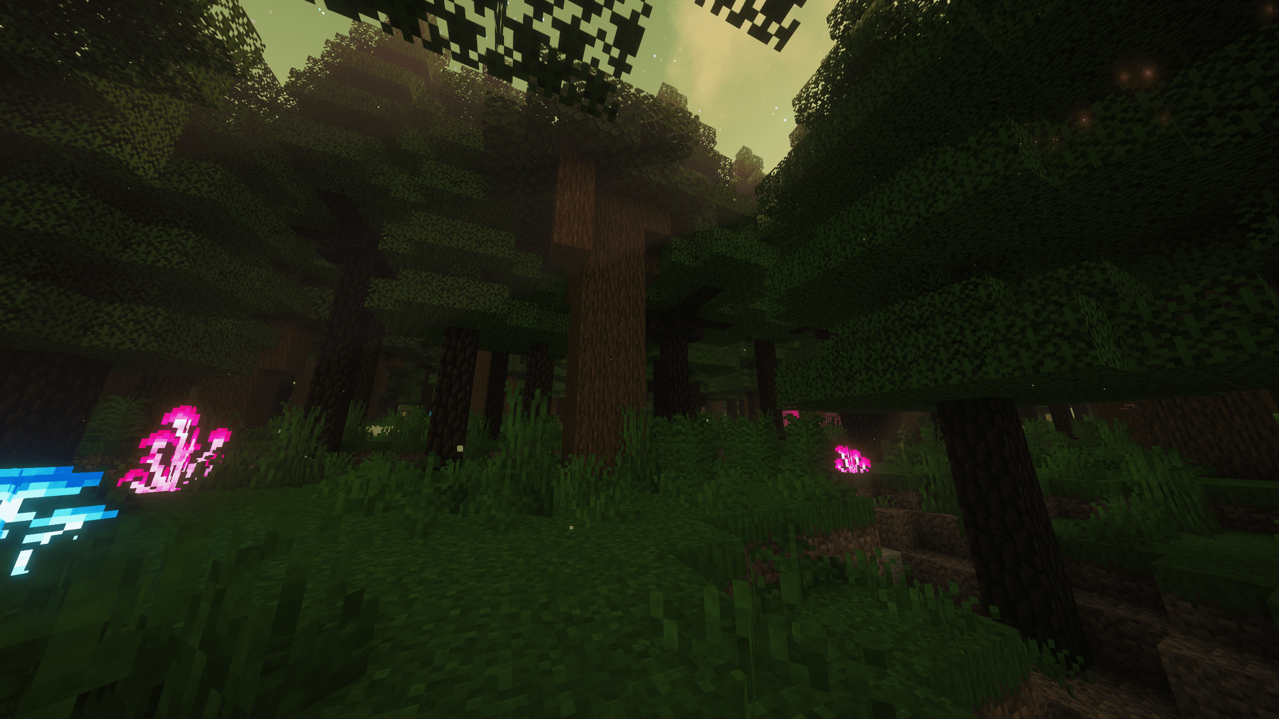 Blackwood Taiga