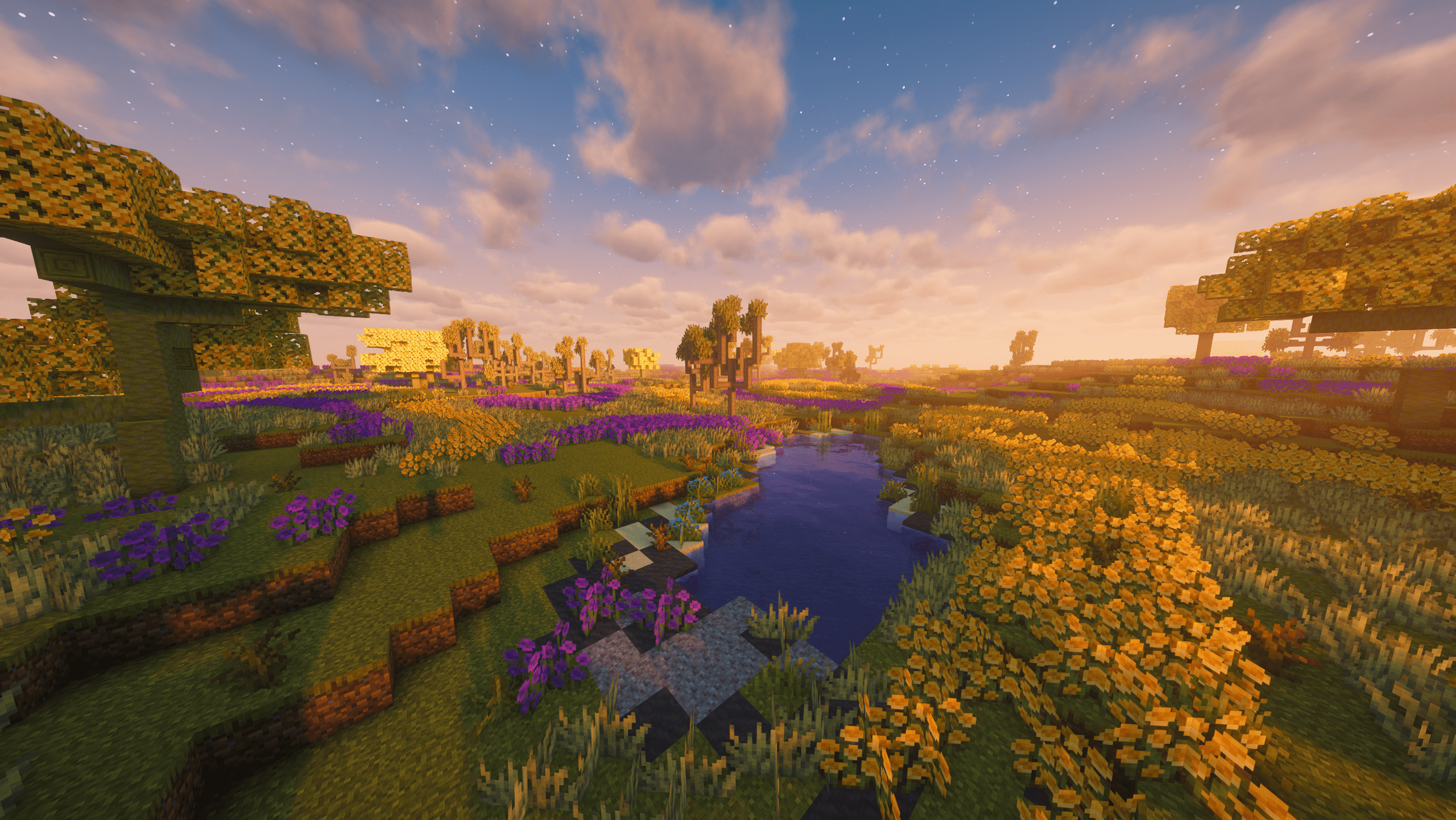 Blooming Dunes