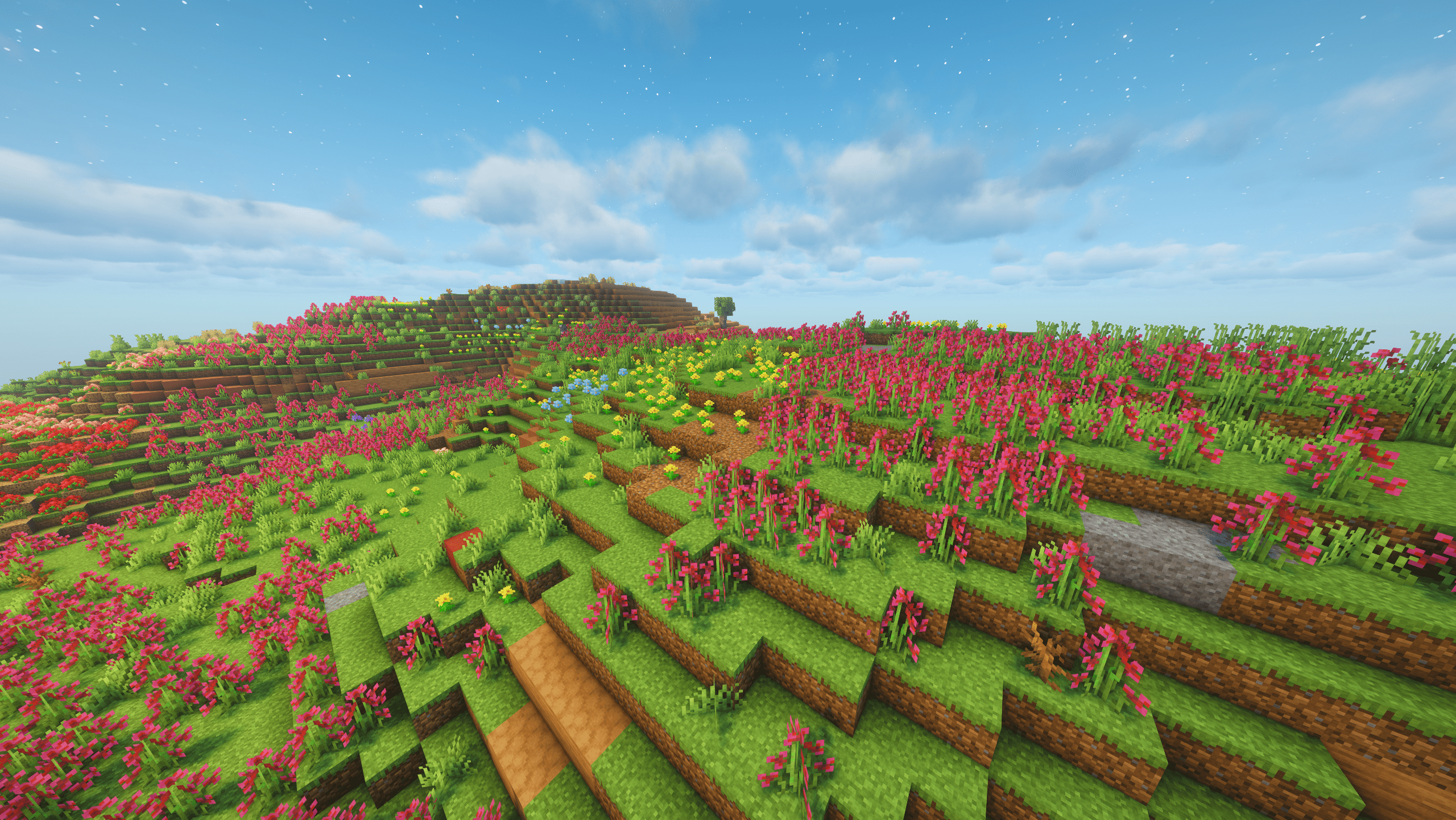 Blooming Highlands