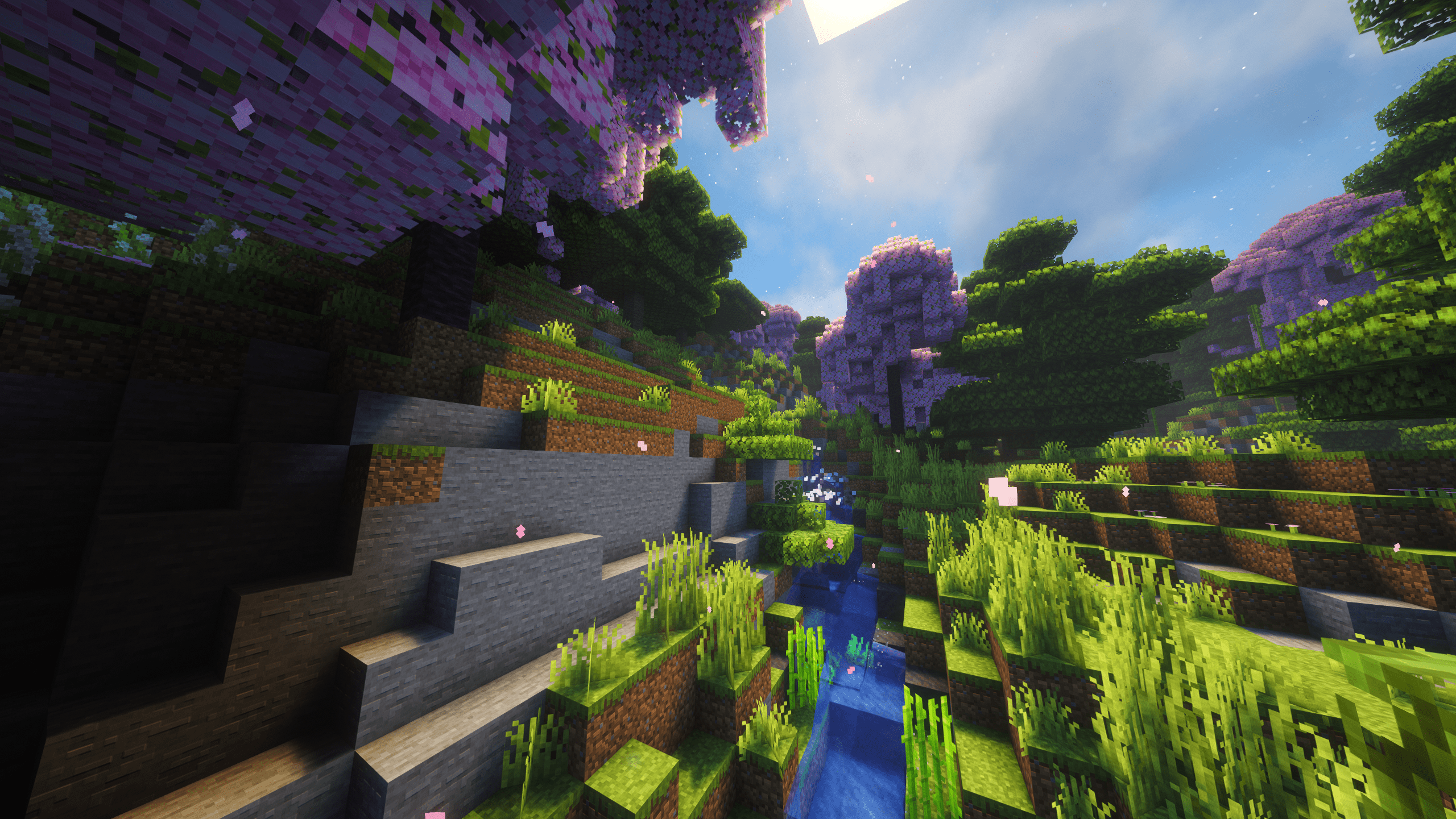 Blooming Sugi Forest