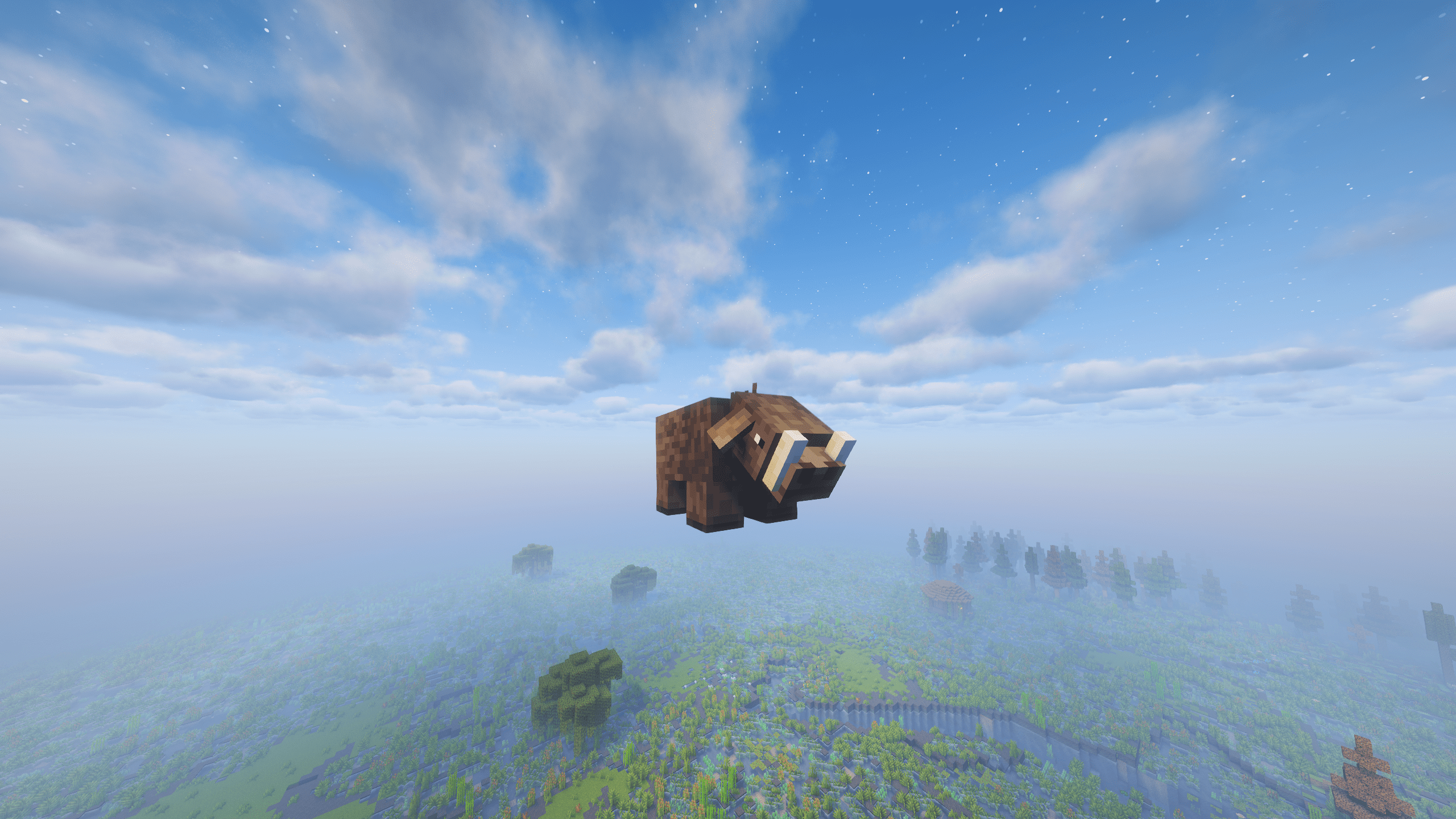 Boar