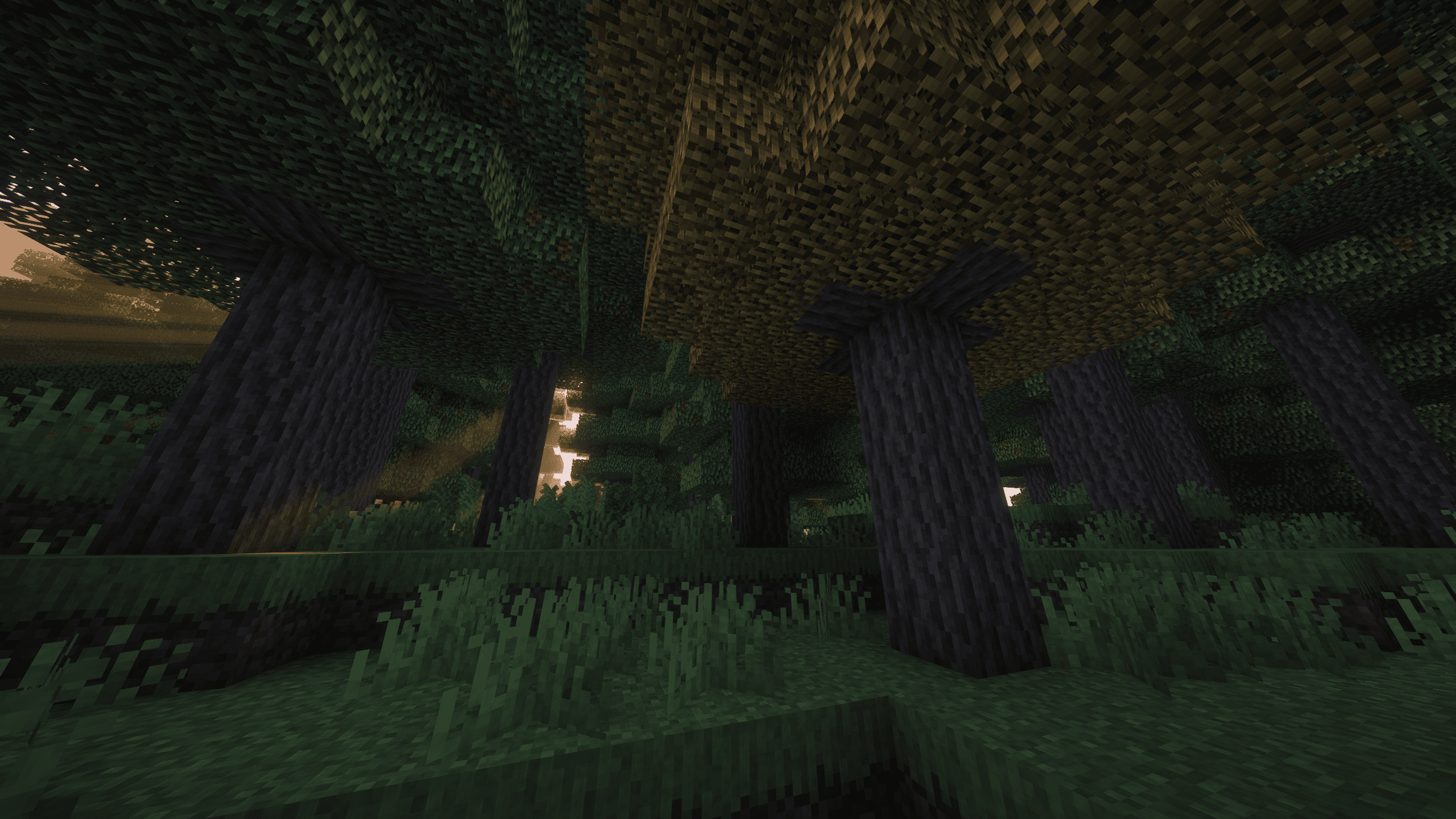 Boreal Taiga