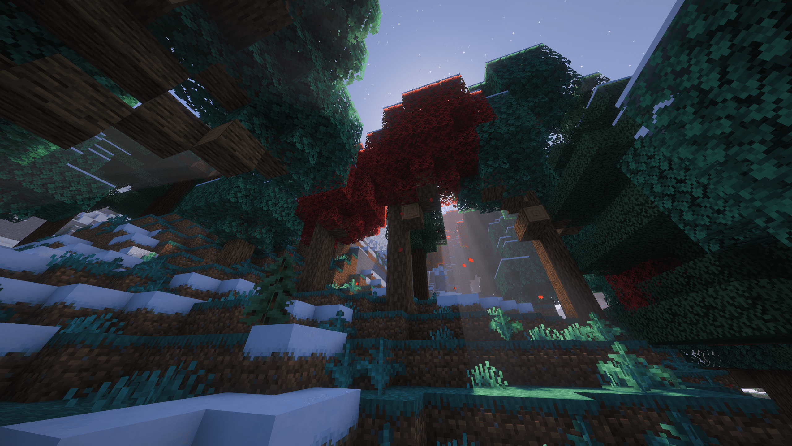 Cold Deciduous Forest