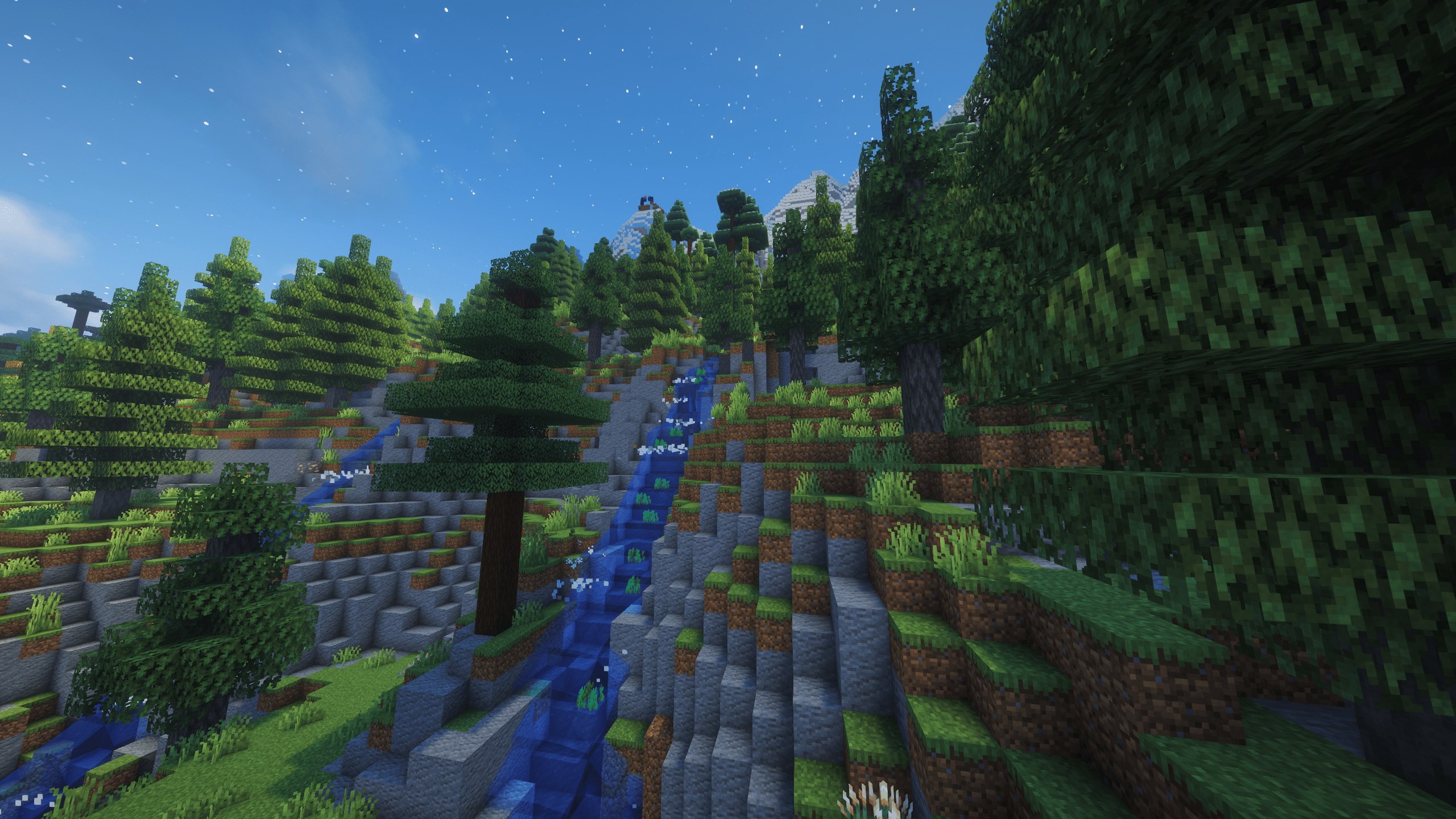 Coniferous Covert
