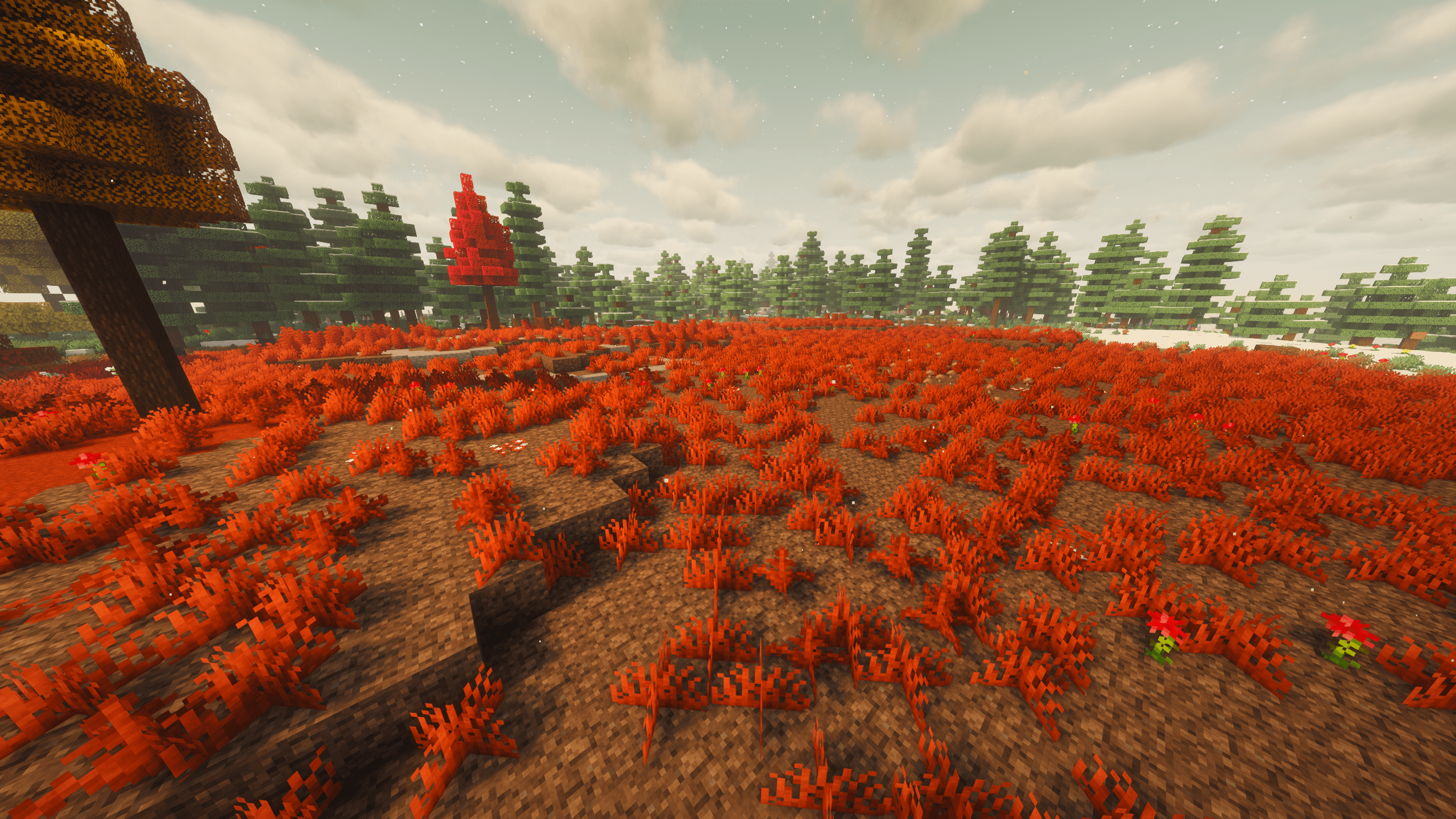 Crimson Tundra