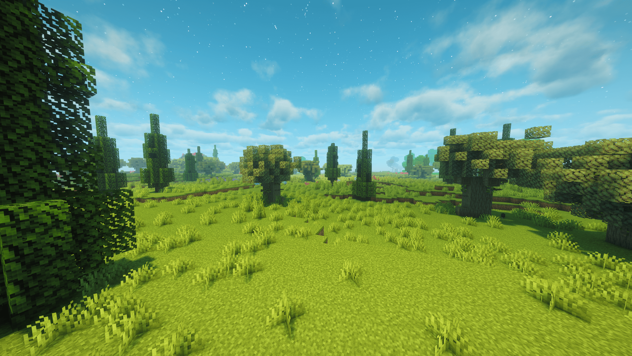 Cypress Fields