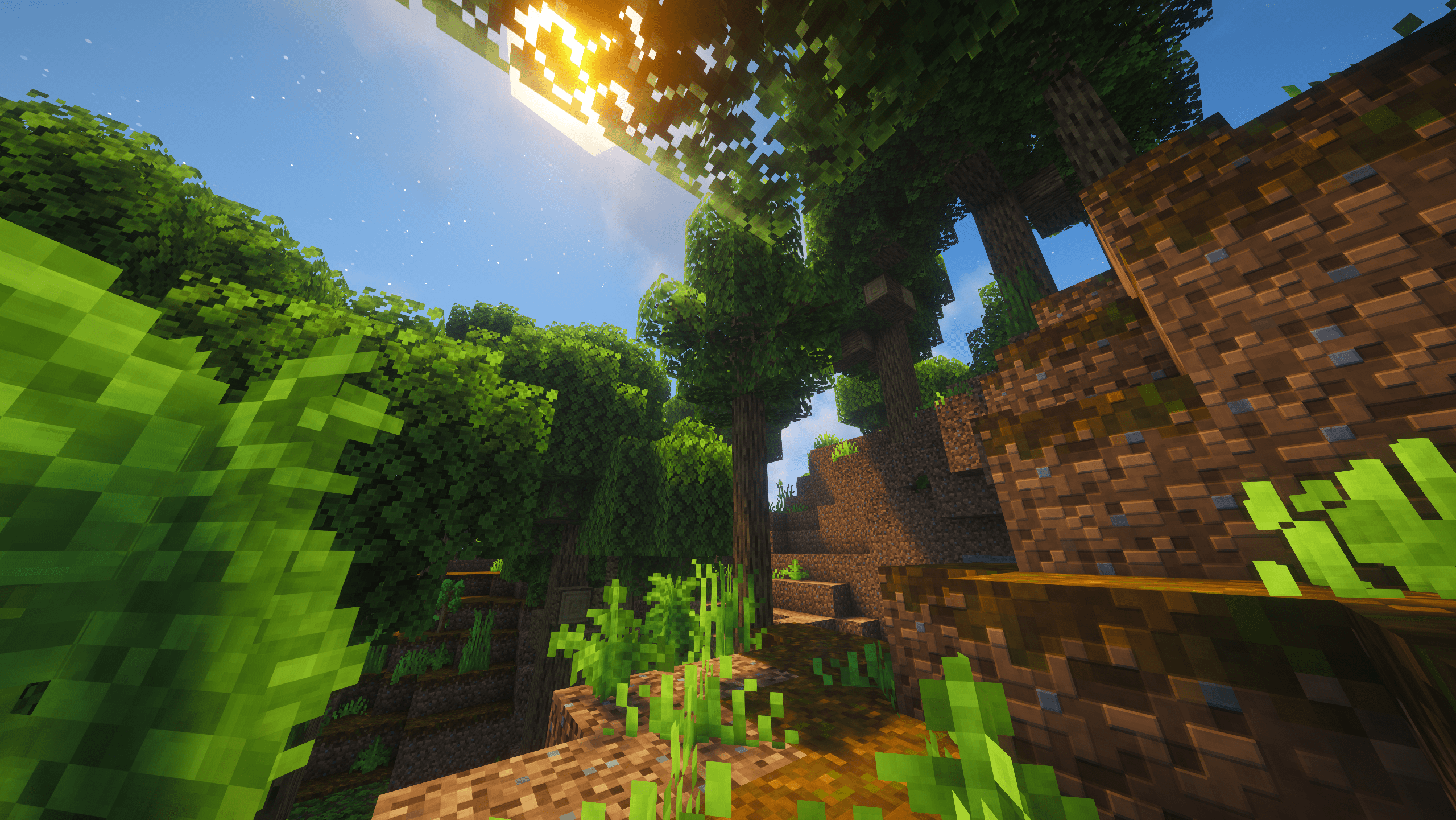 Deciduous Forest