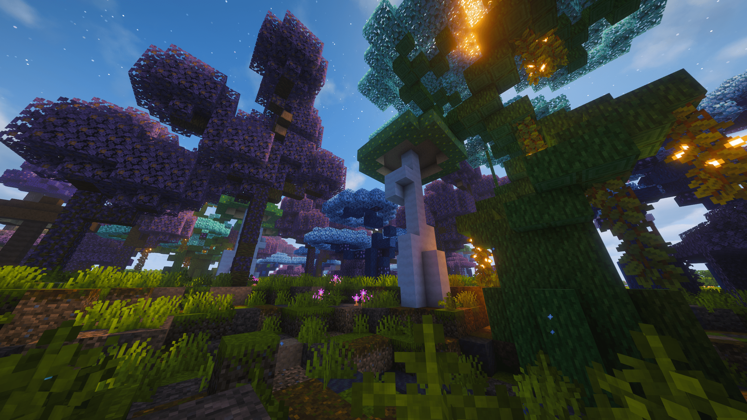 Enchanted Tangle