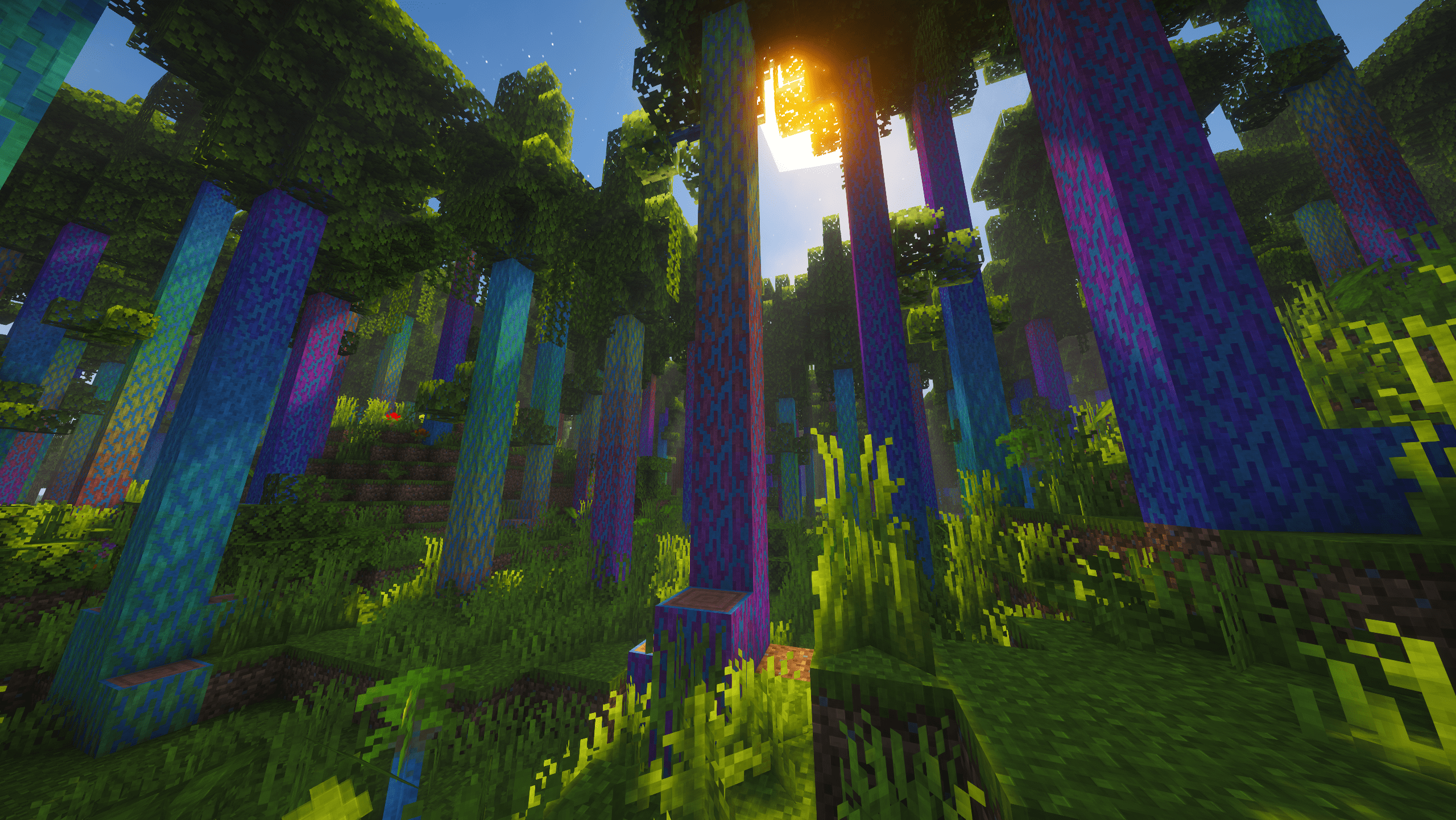 Eucalyptus Forest