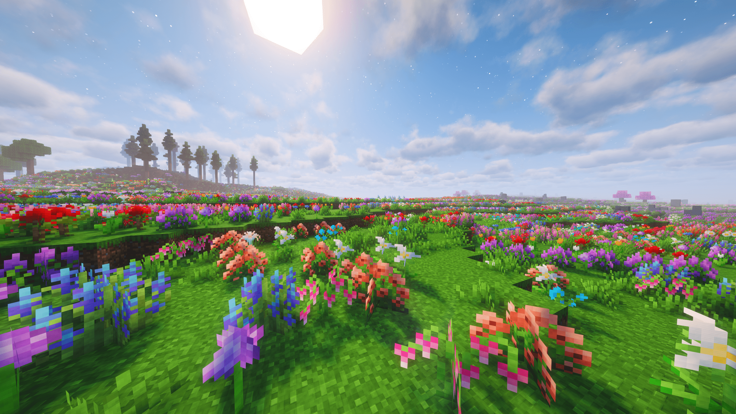 Flower Fields