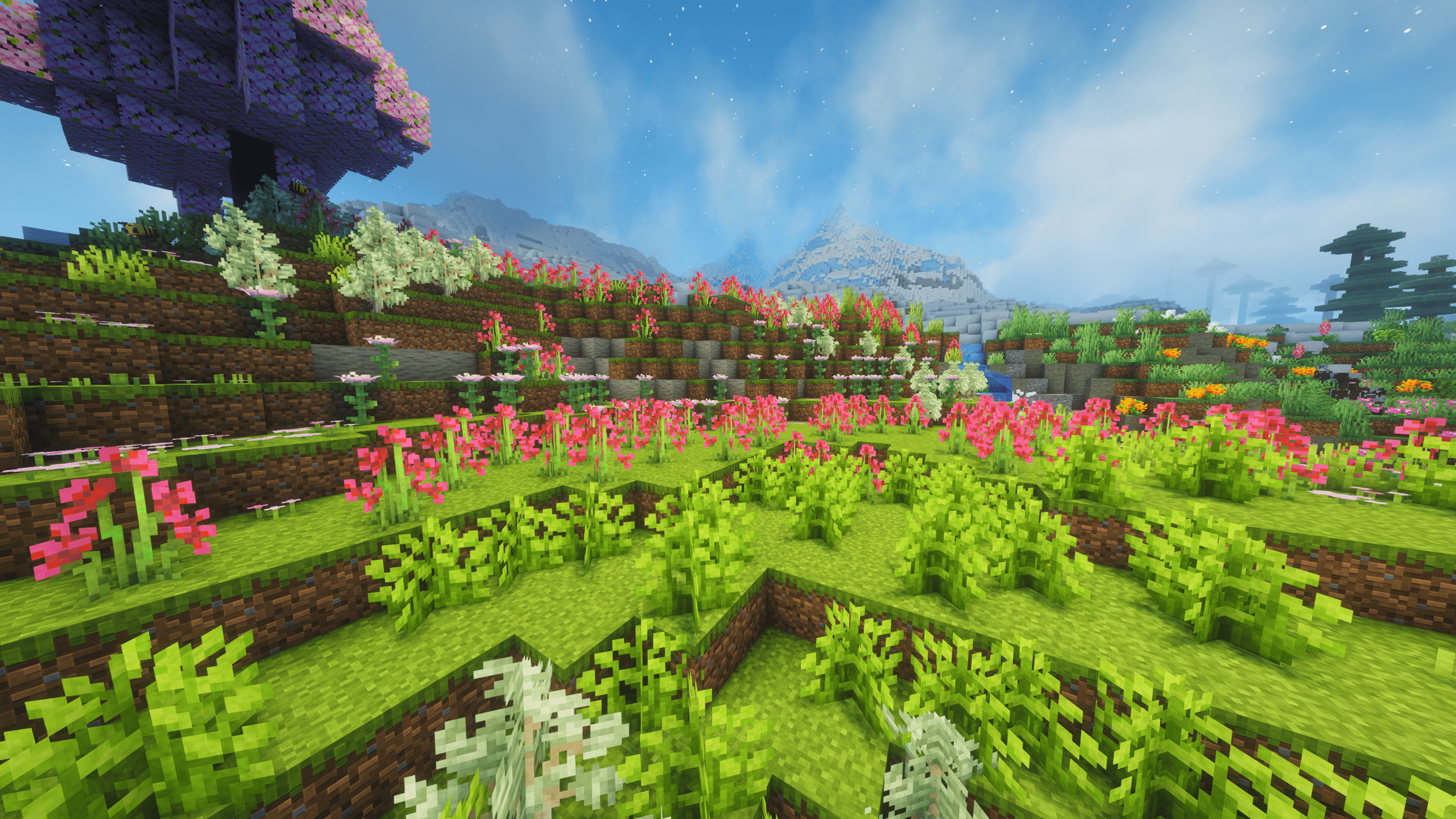 Flowering Shrubland