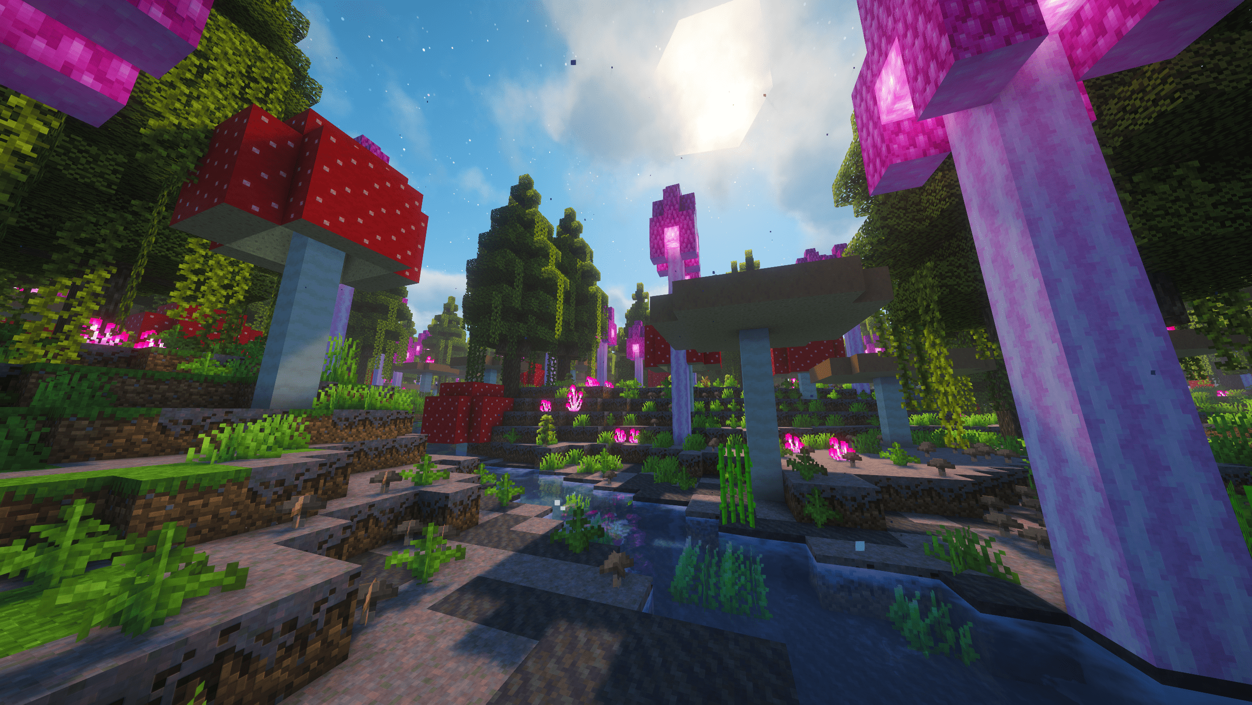 Fungal Fen