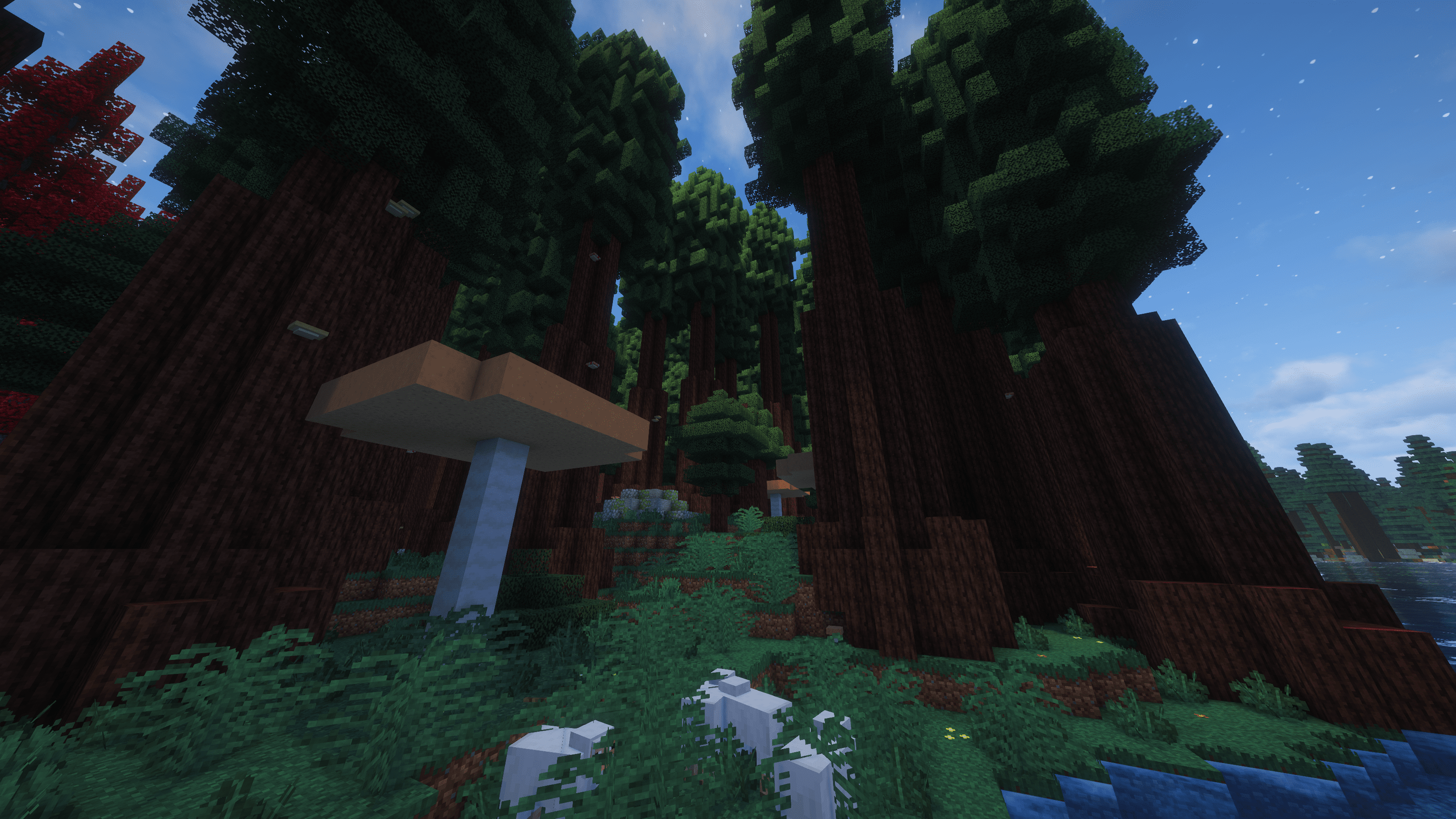 Giant Redwood Forest