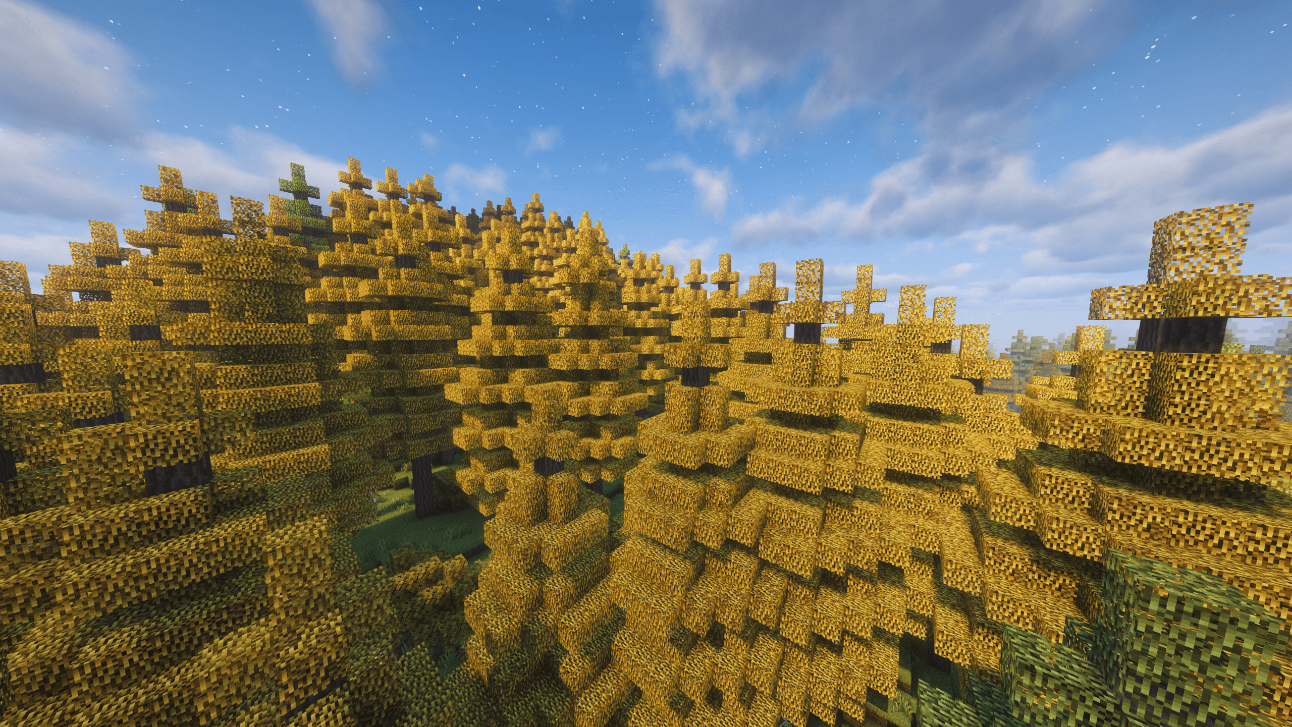 Golden Boreal Taiga