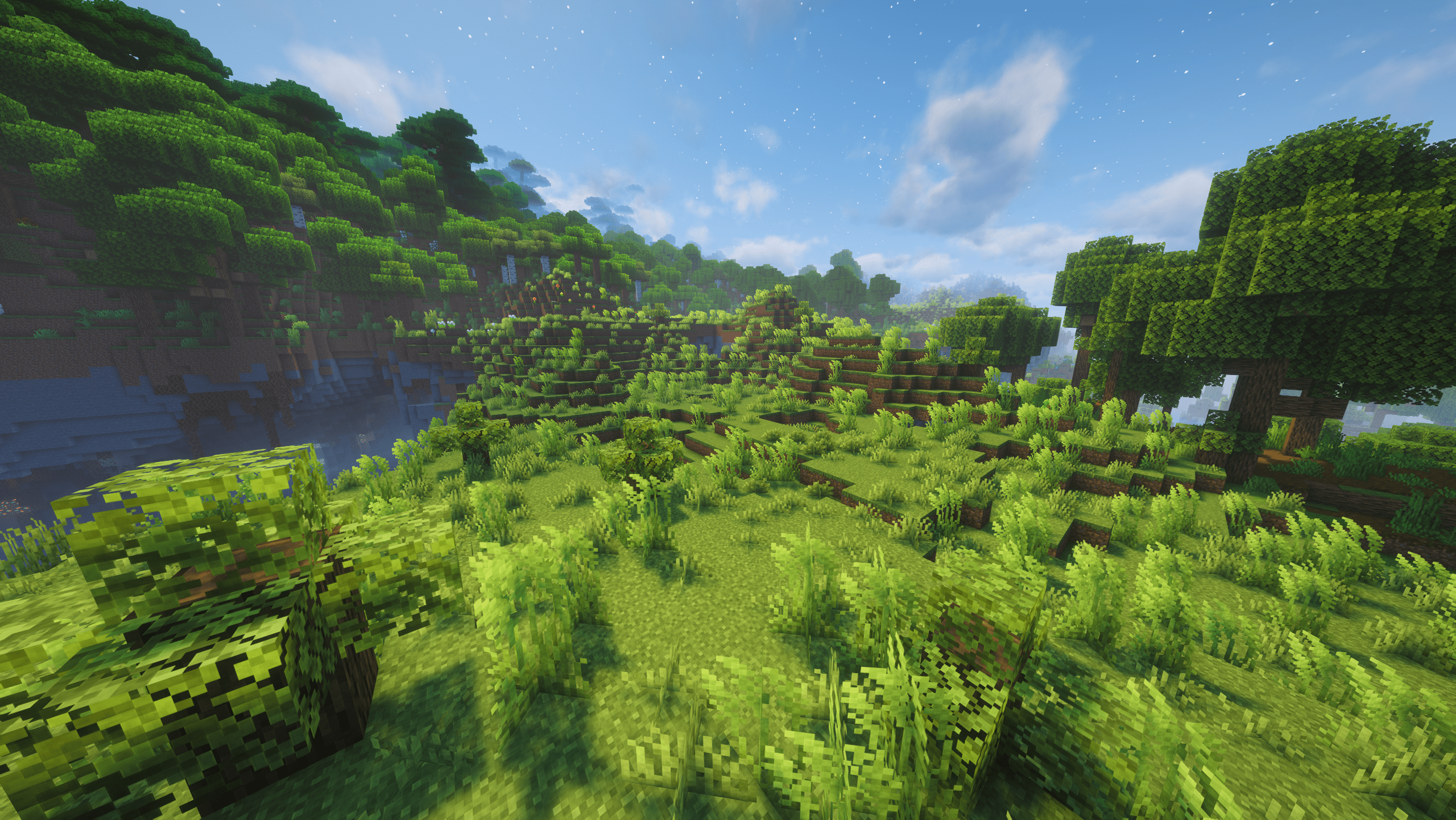 Grassland