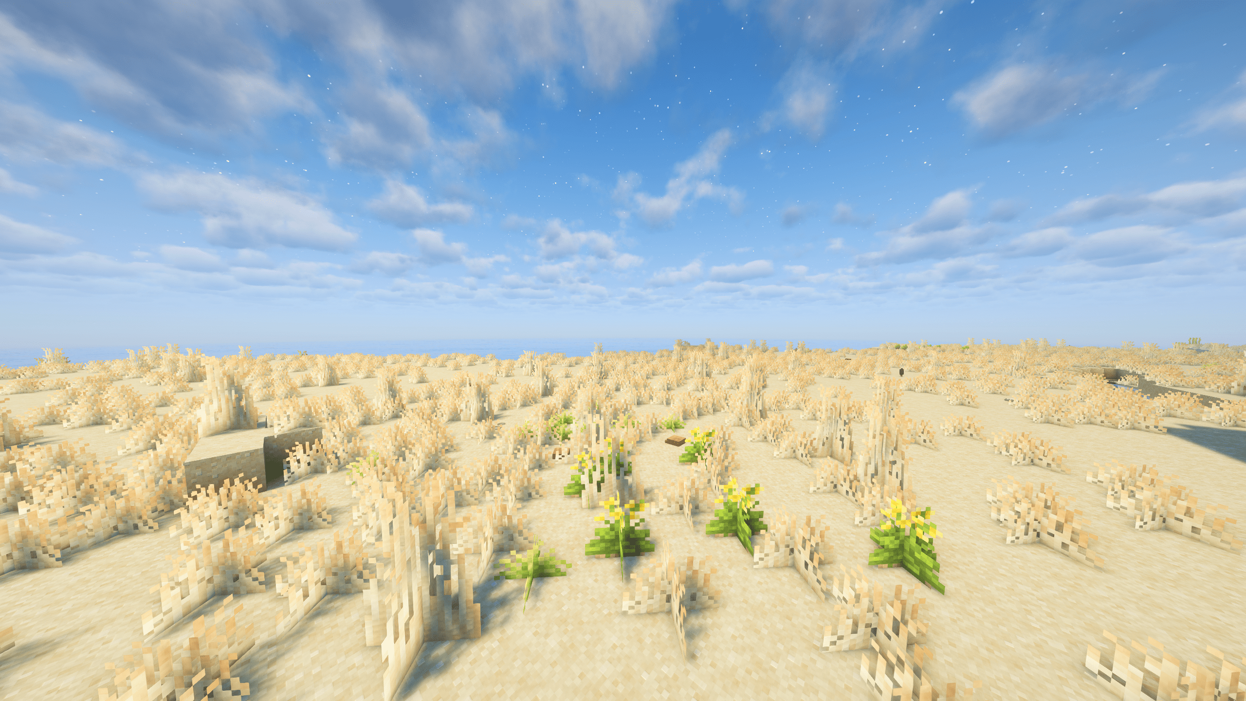 Grassy Beach