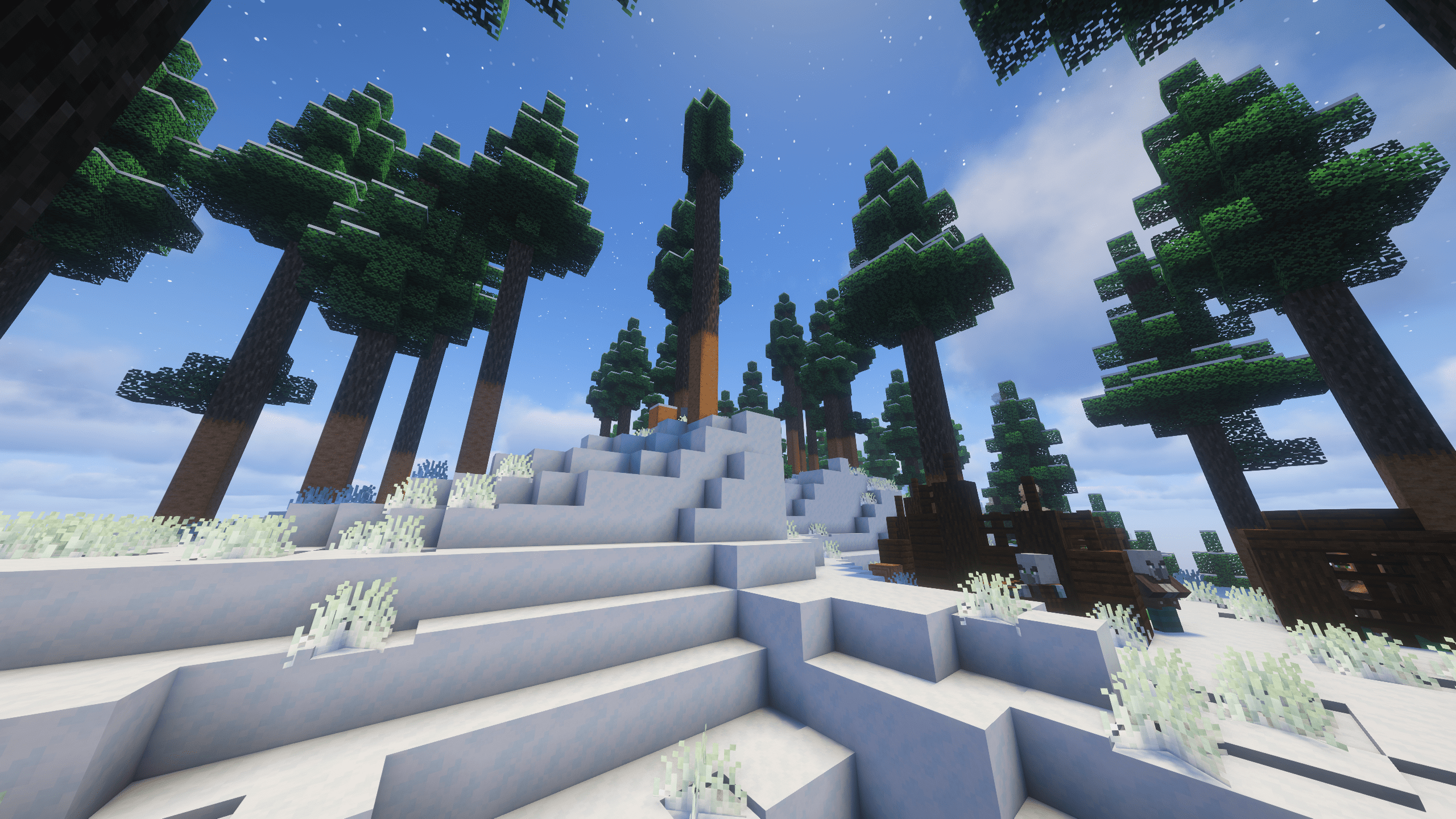 Icy Heights