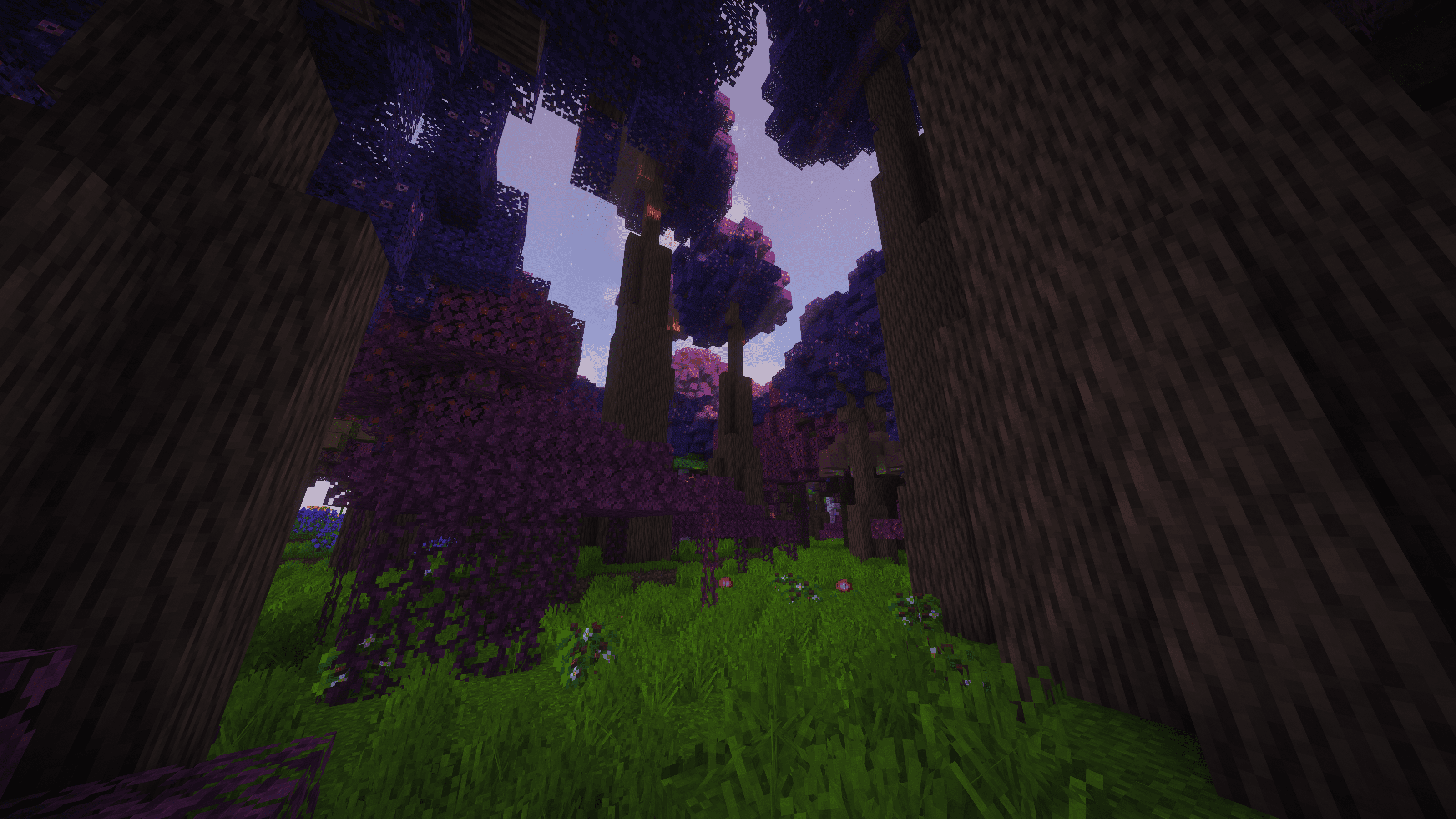 Jacaranda Jungle