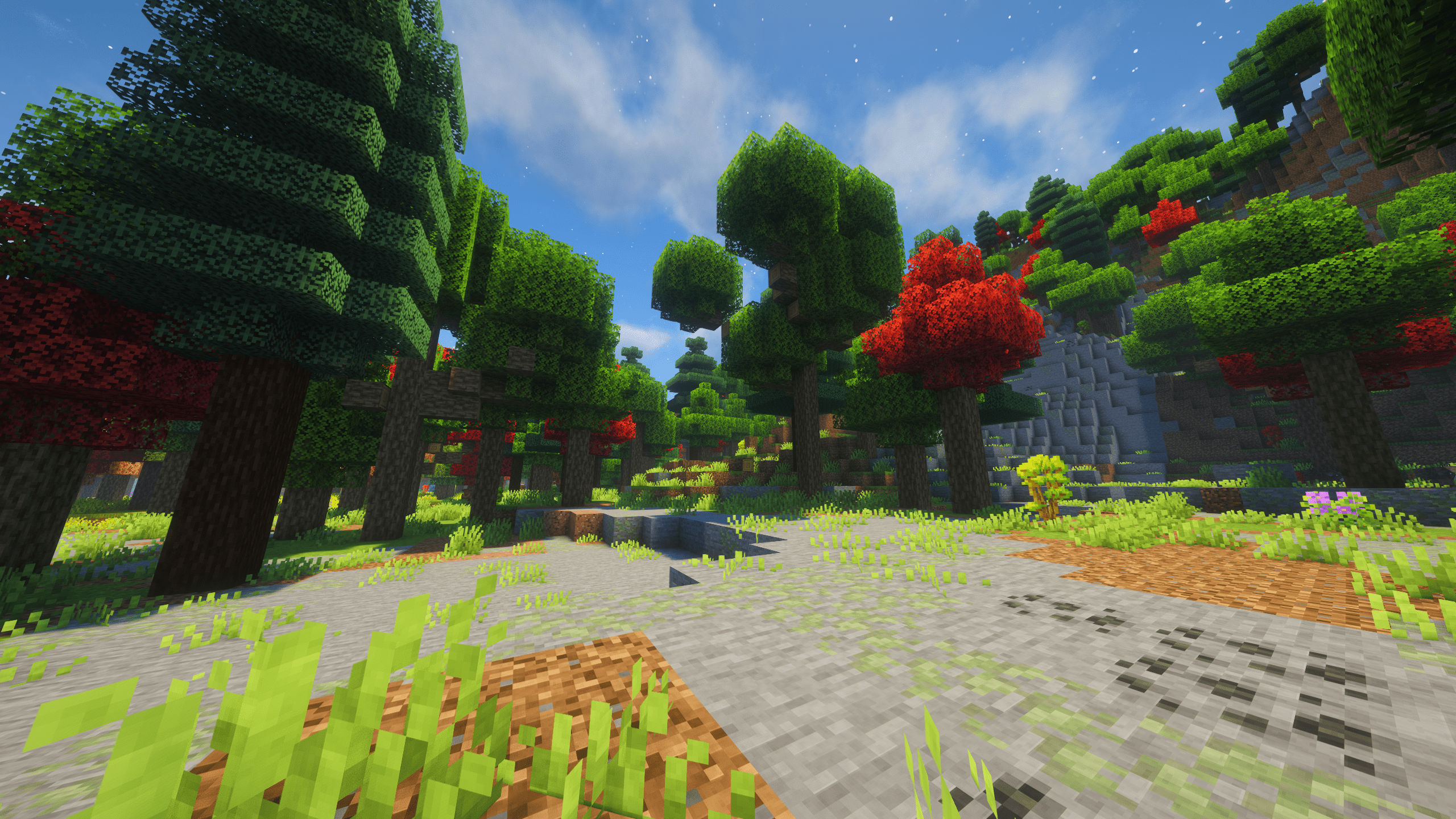 Maple Forest