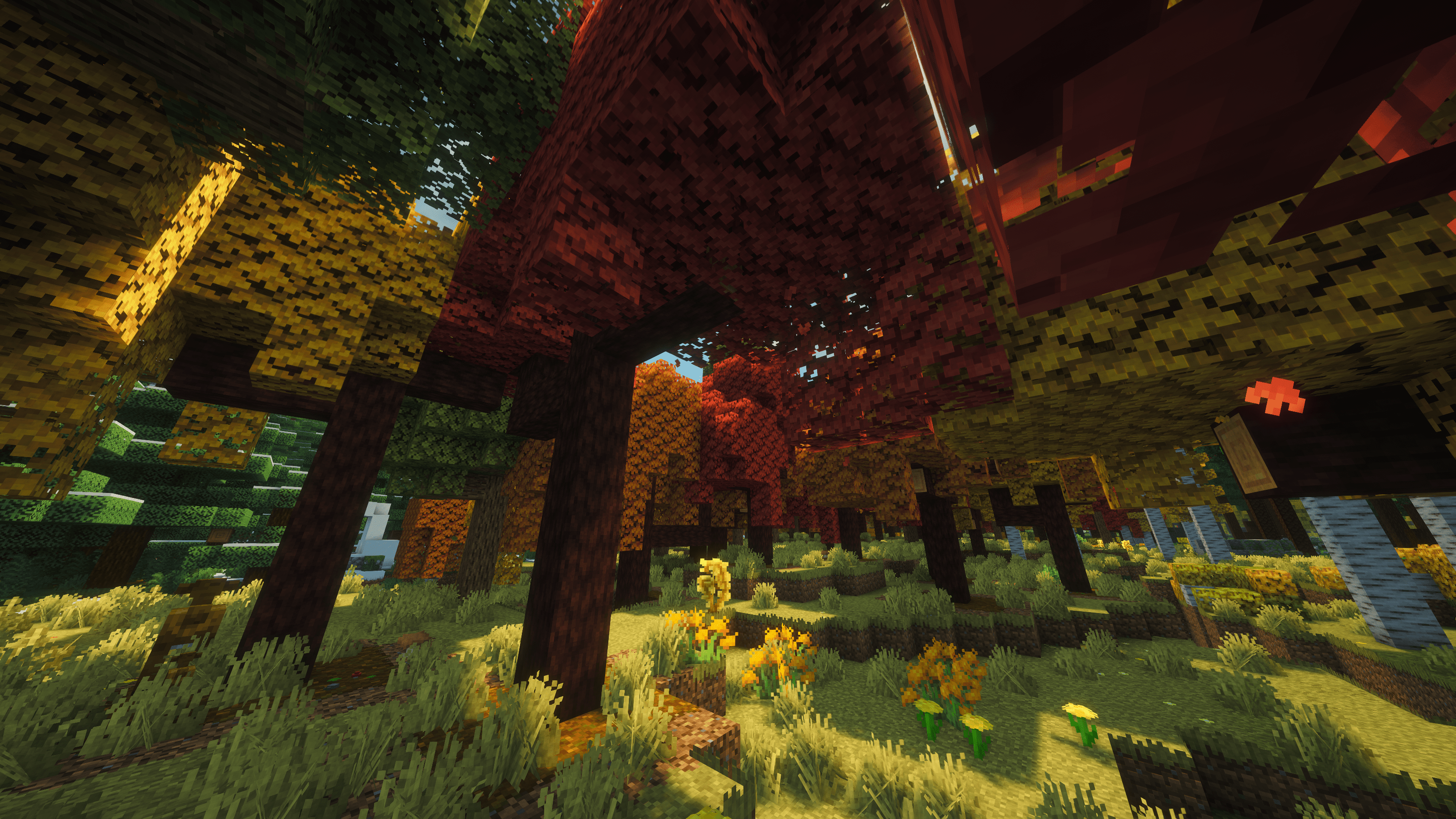 Maple Woodlands