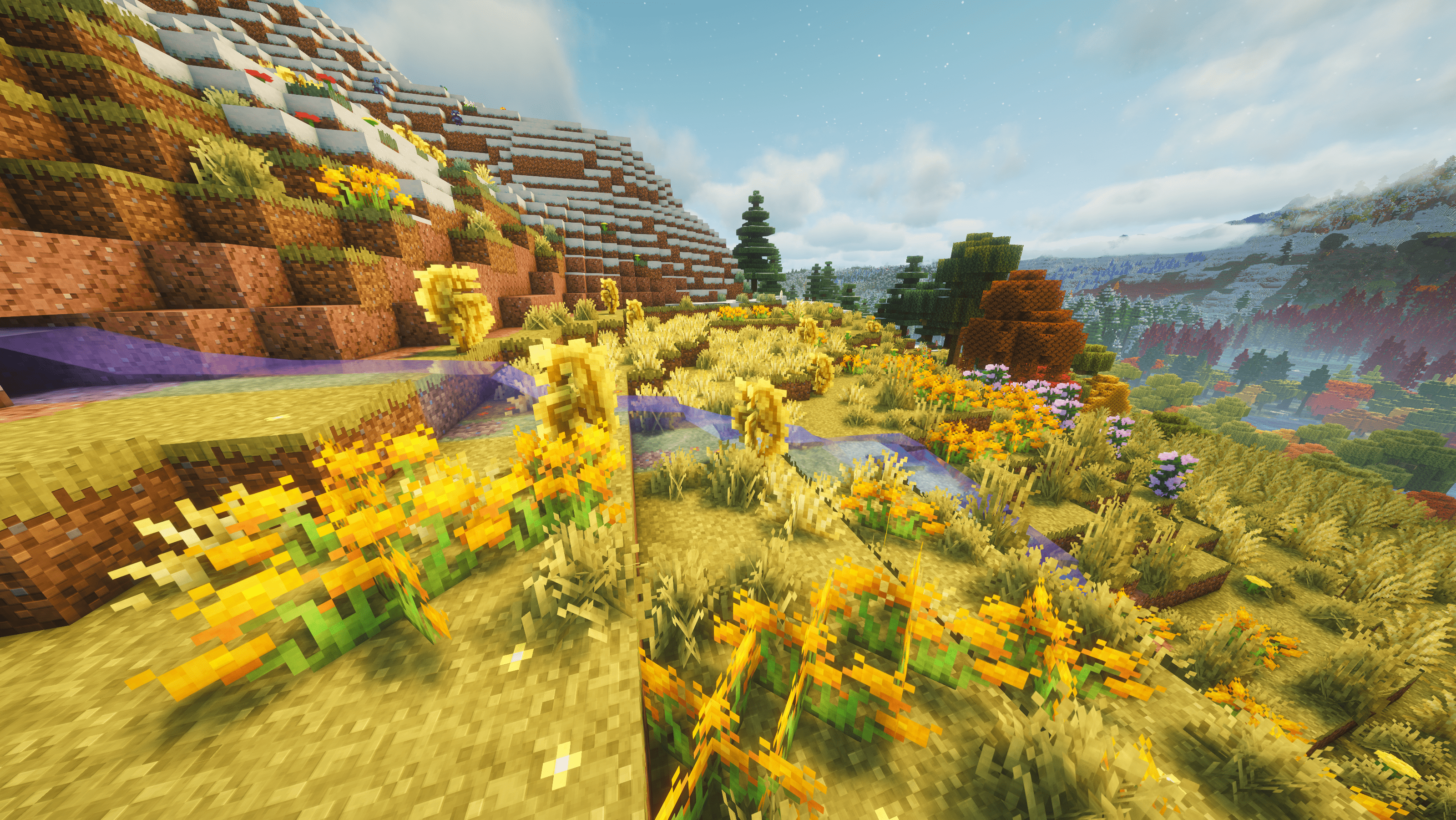 Marigold Meadows