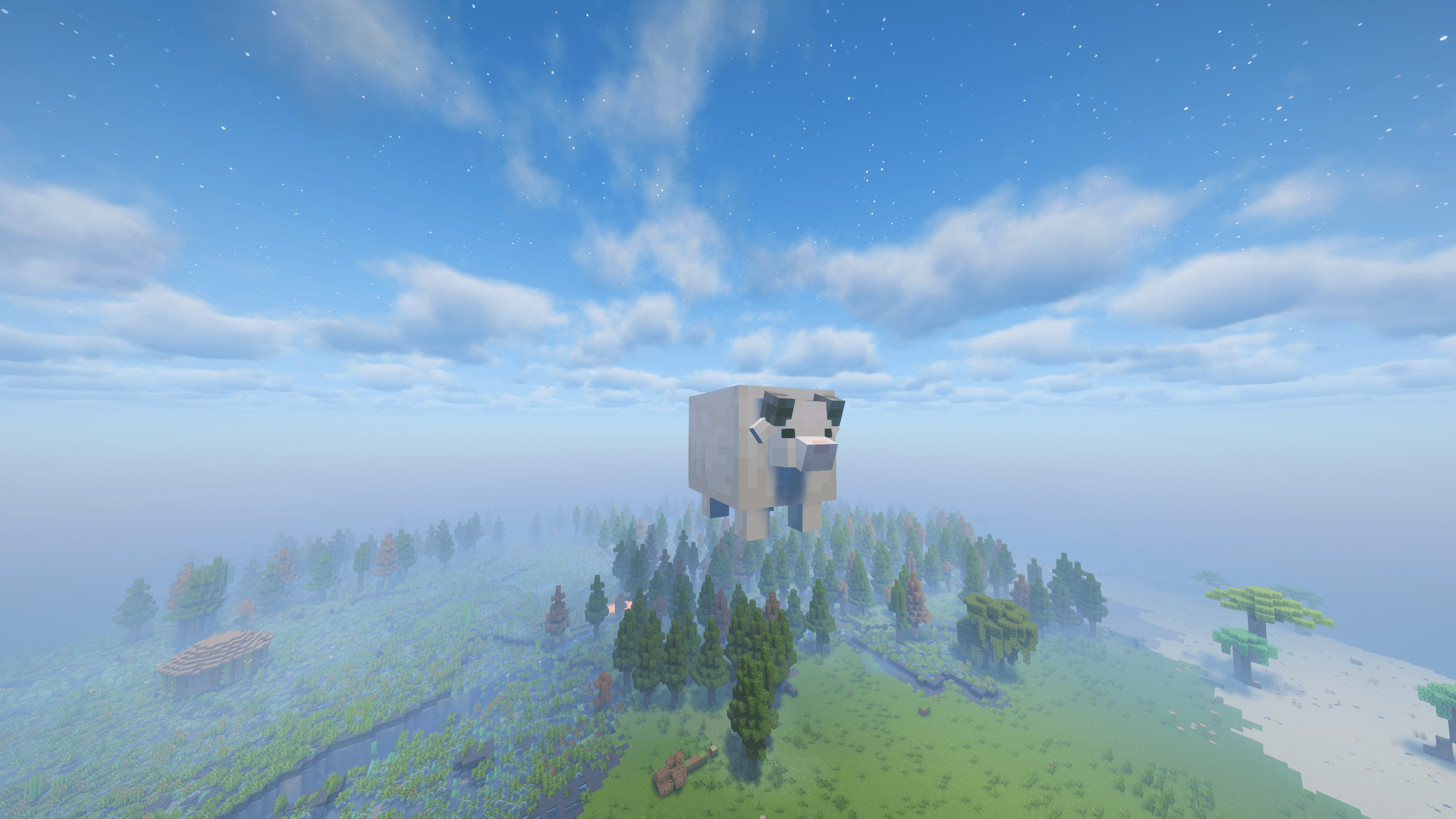 Minisheep