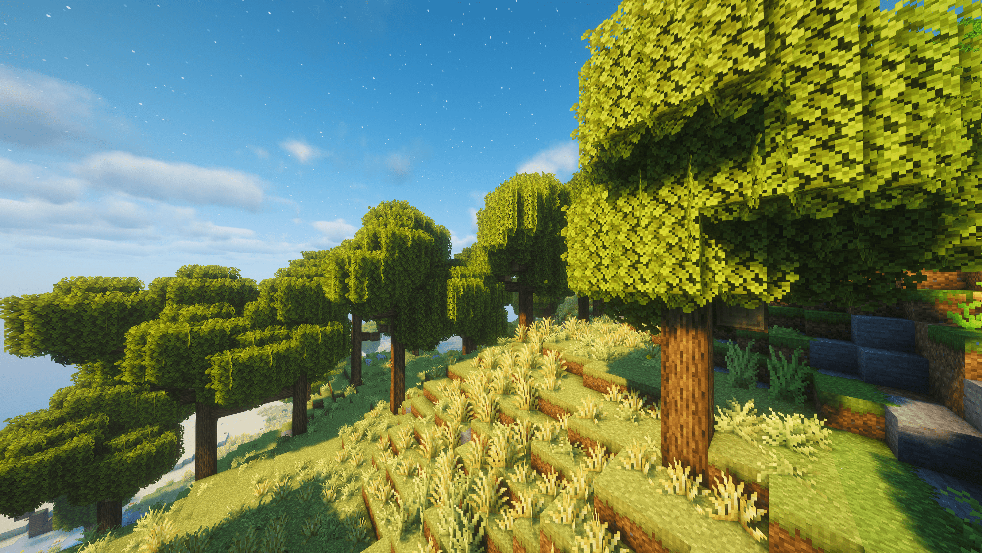 Oak Savanna