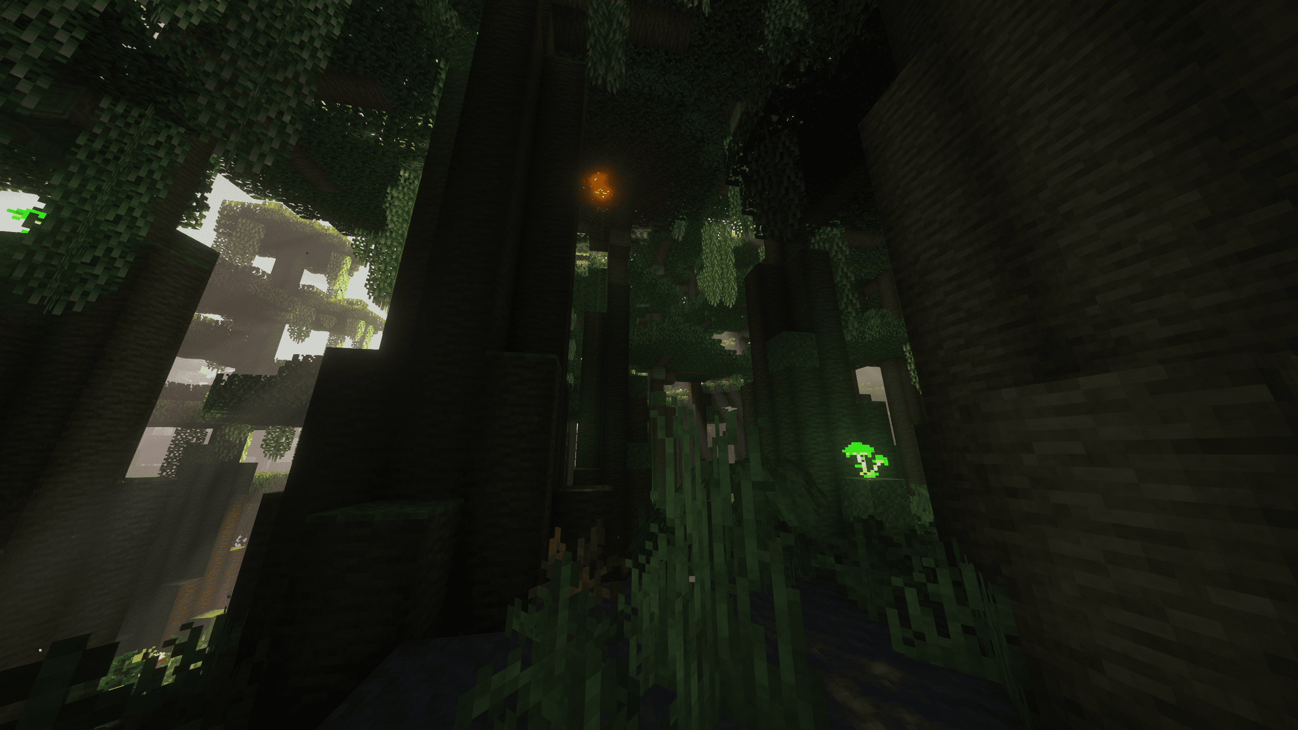Old Growth Bayou