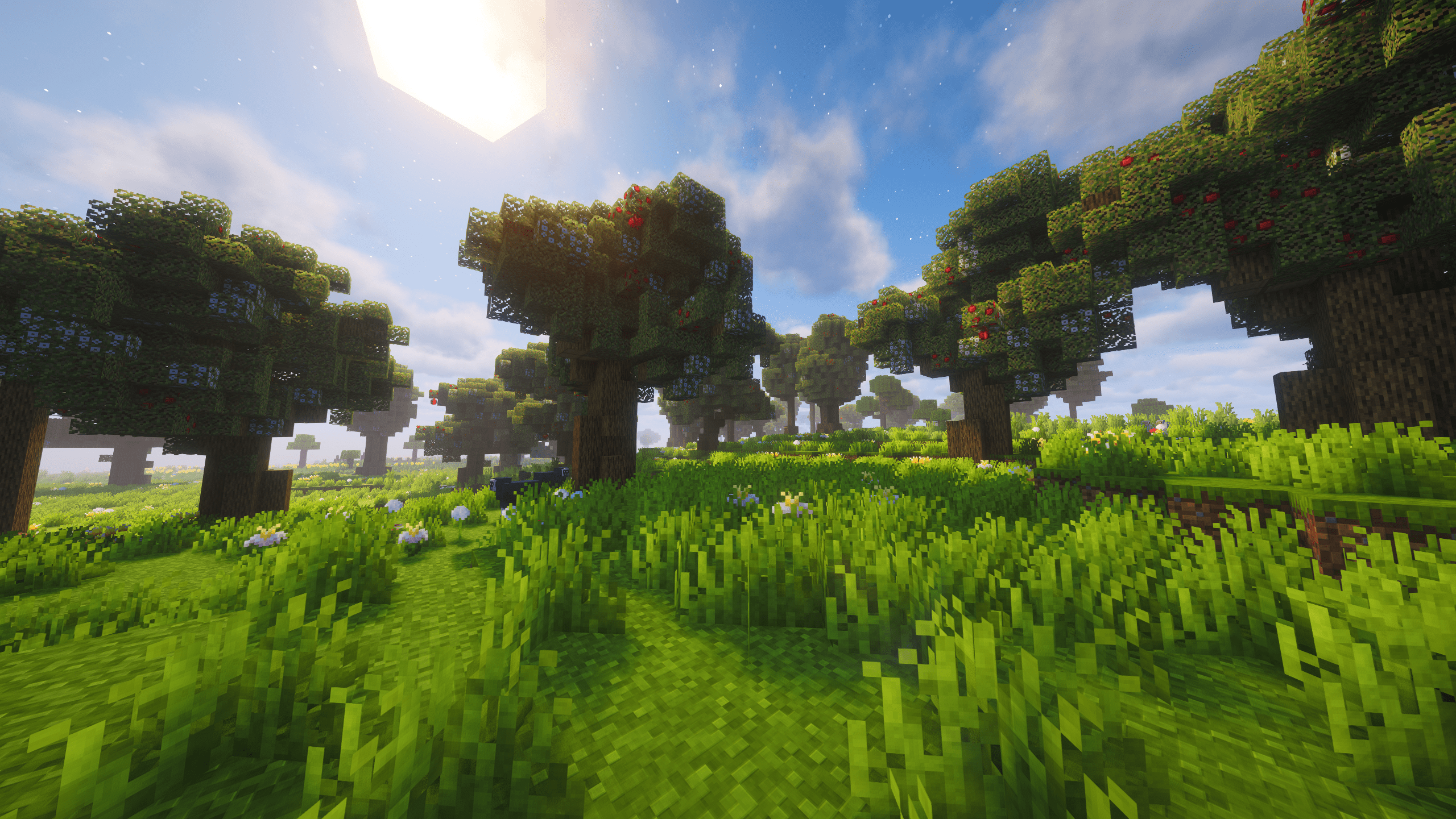 Orchard
