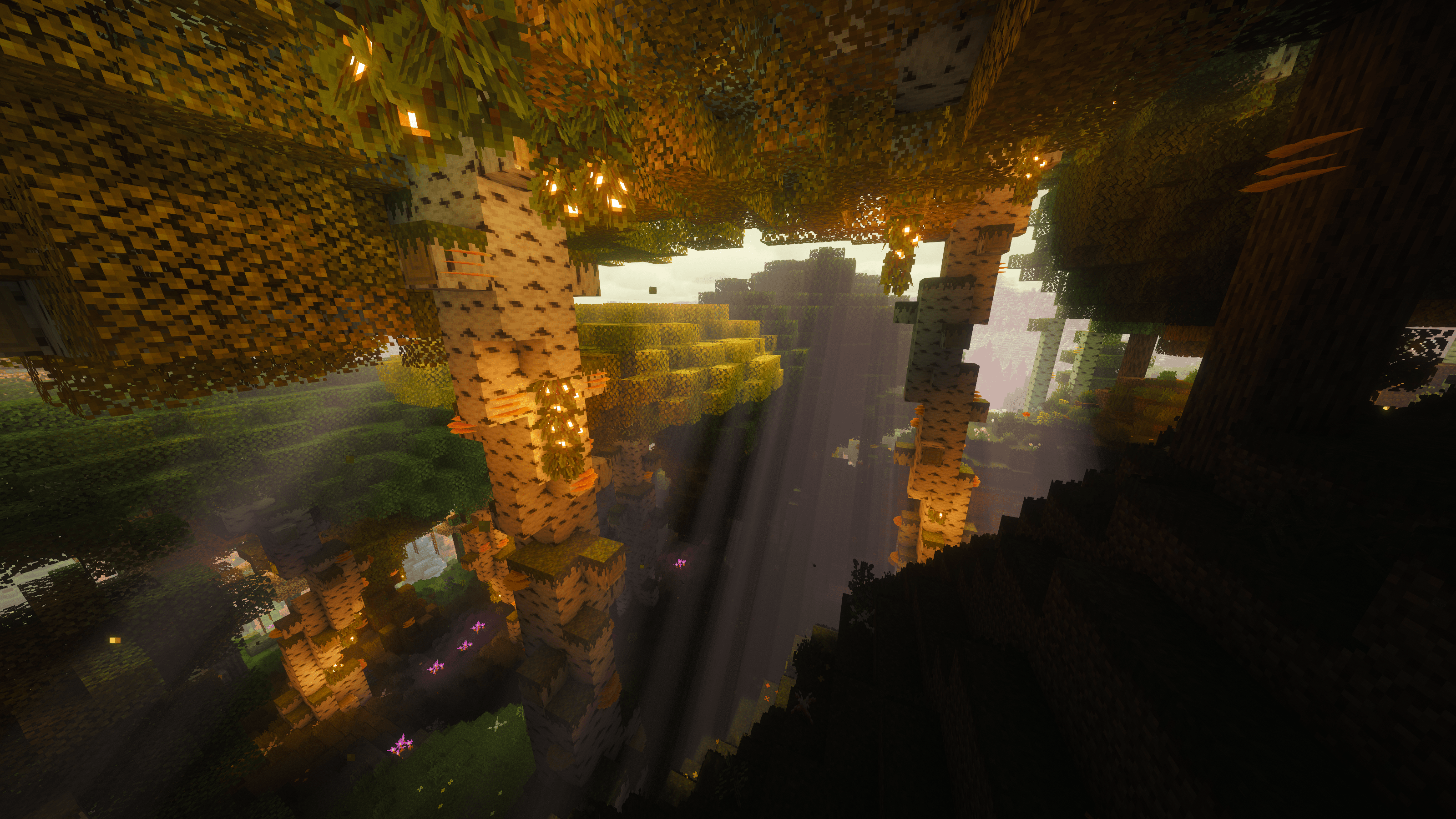 Overgrowth Woodlands