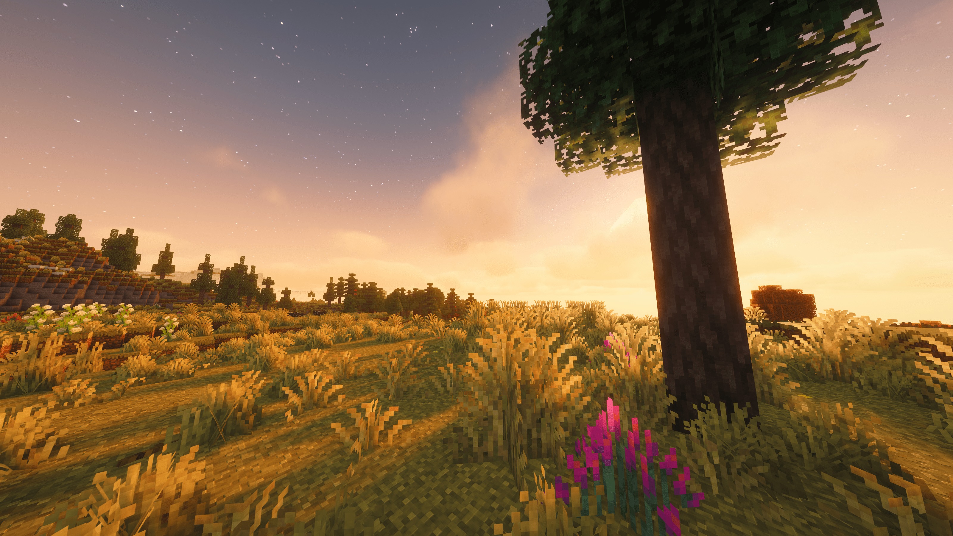 Prairie