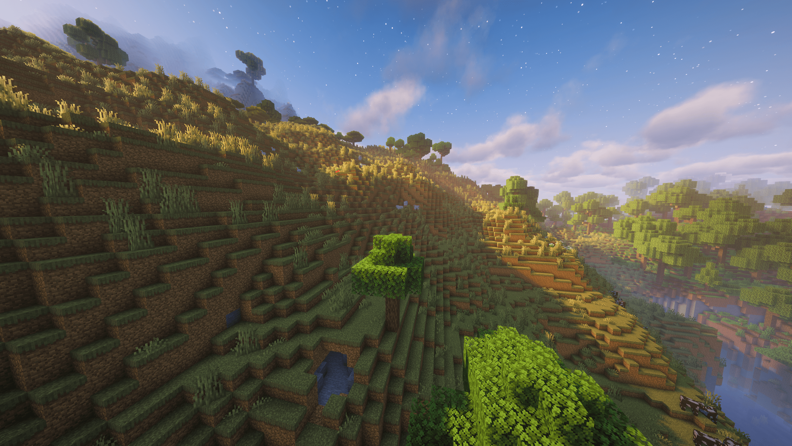 Prairie