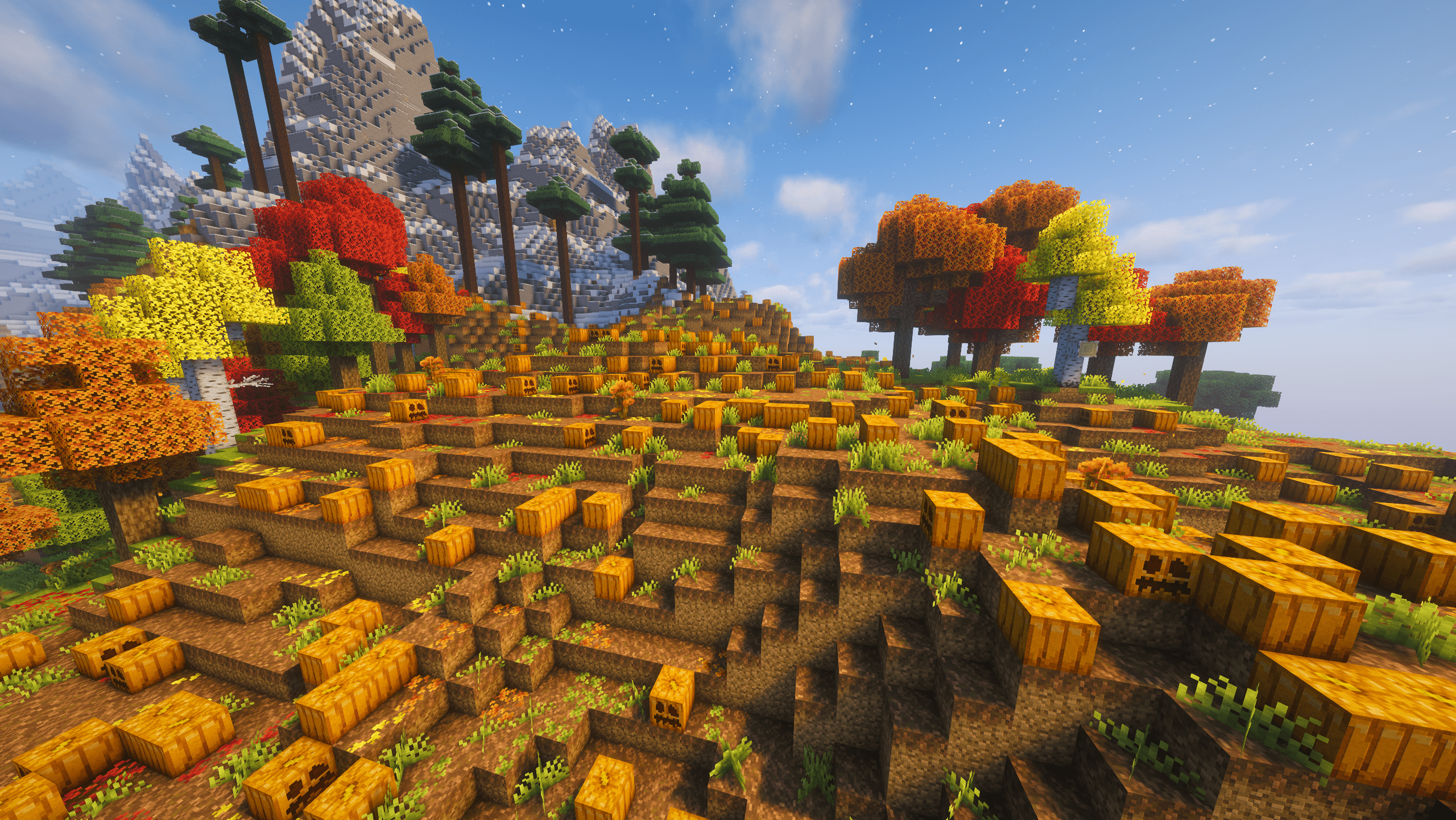 Pumpkin Fields