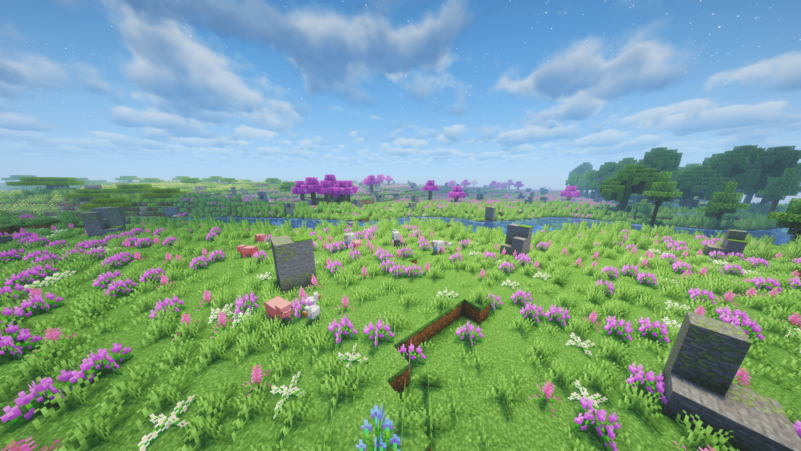 Rocky Meadow