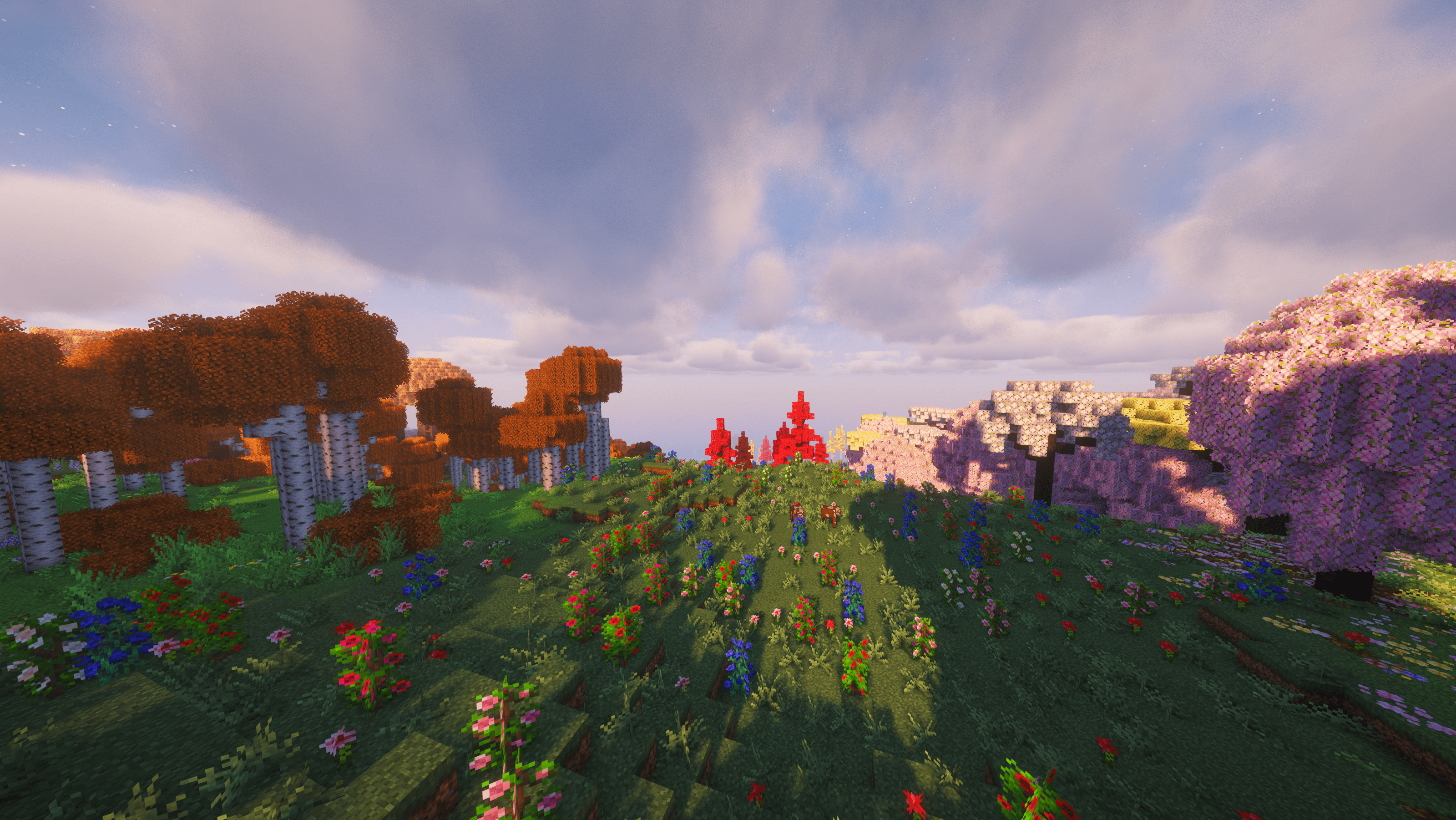 Rose Fields