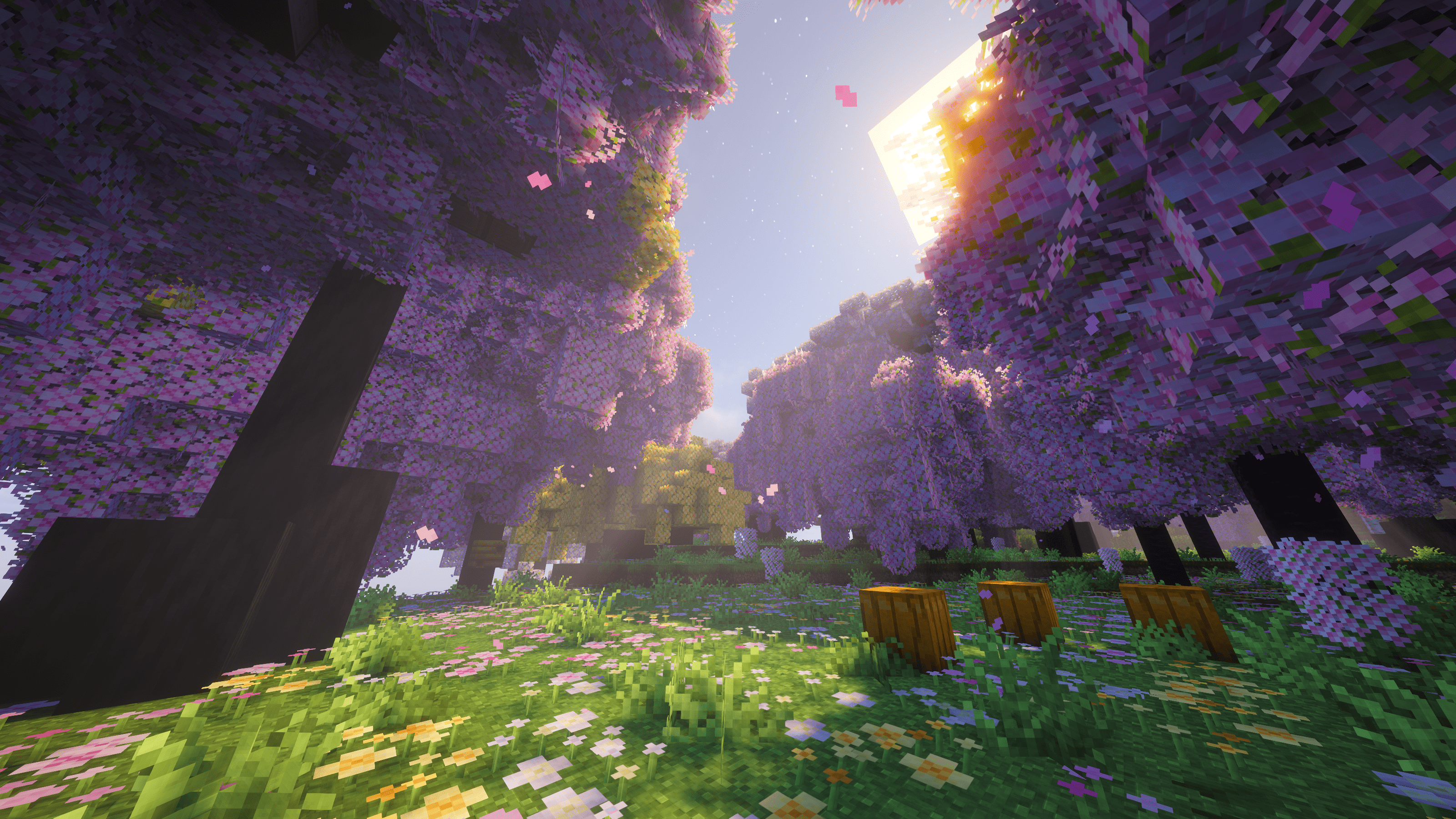 Sakura Grove