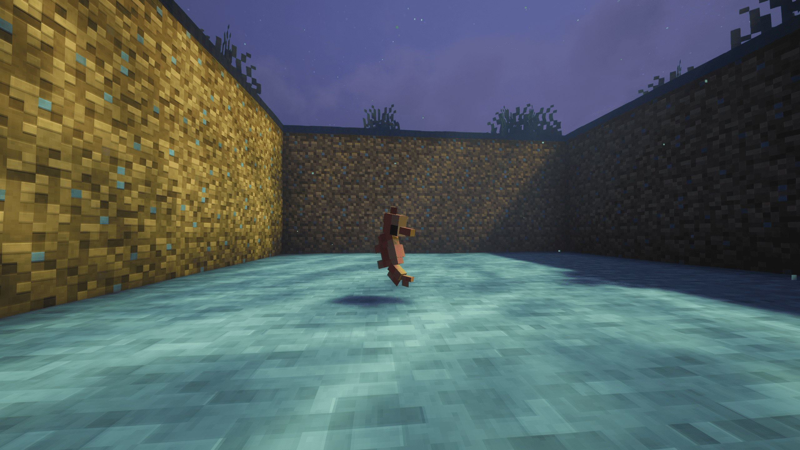 Seahorse