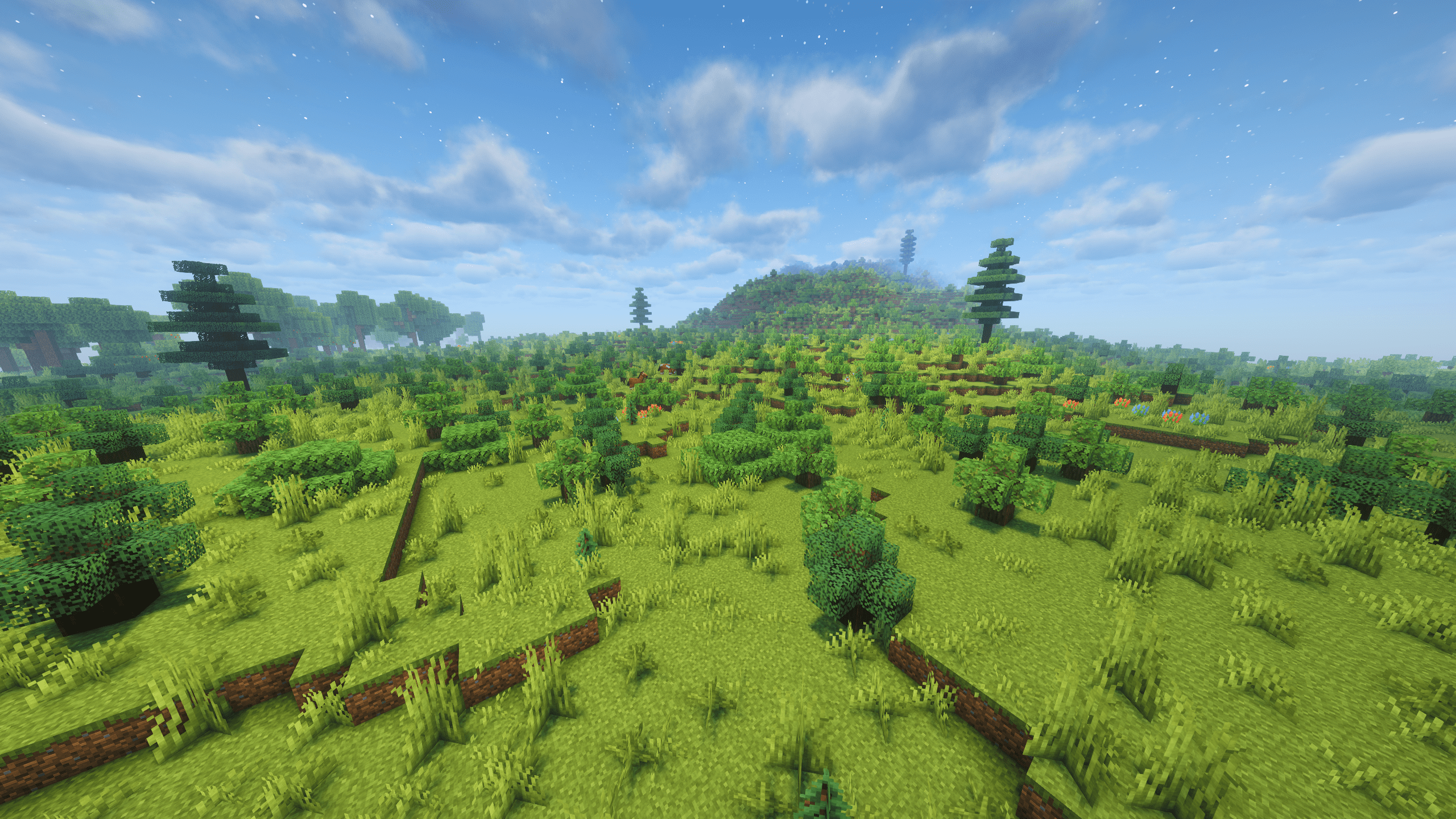 Shrubland